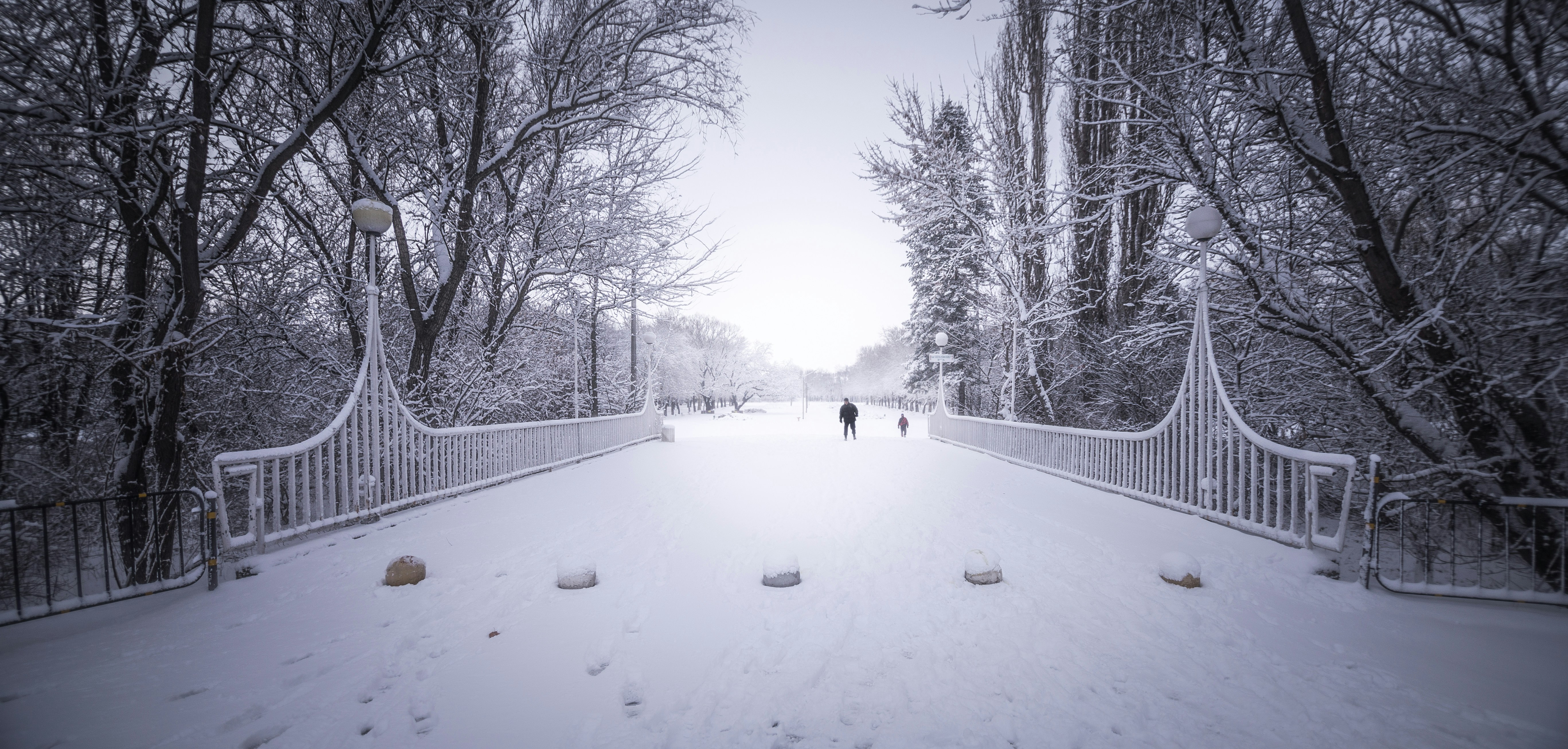 Photo by blooddrainer