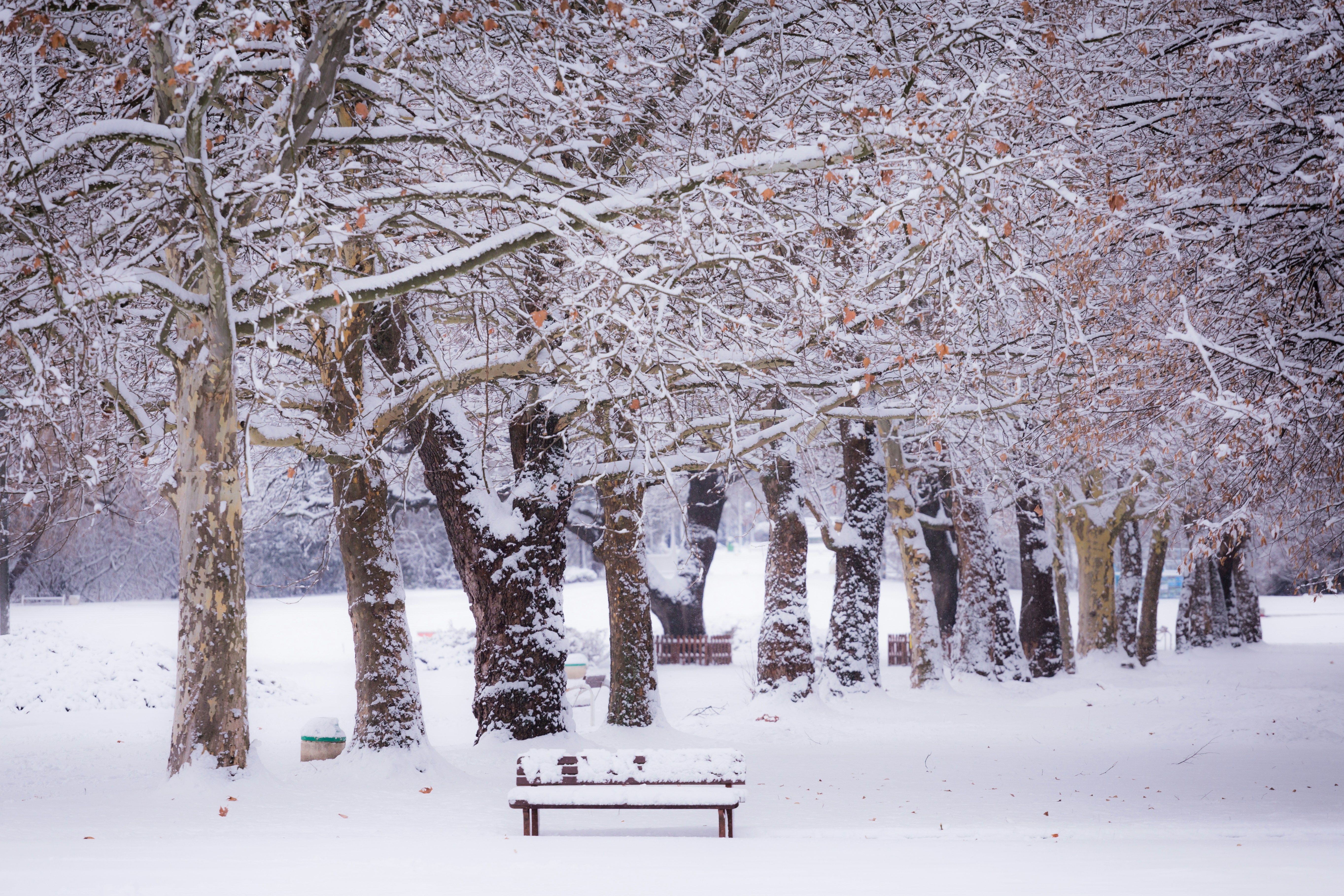 Photo by blooddrainer