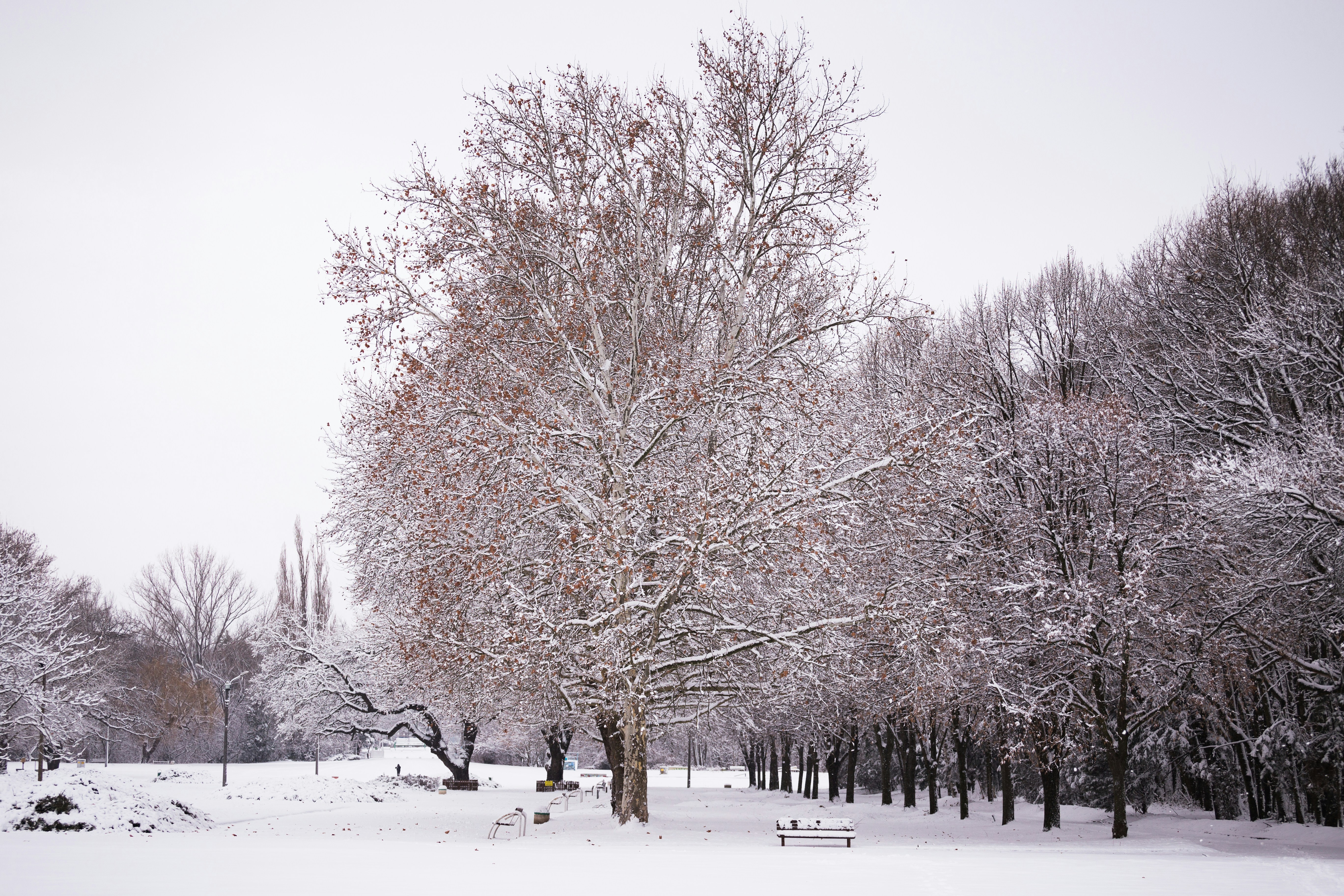 Photo by blooddrainer