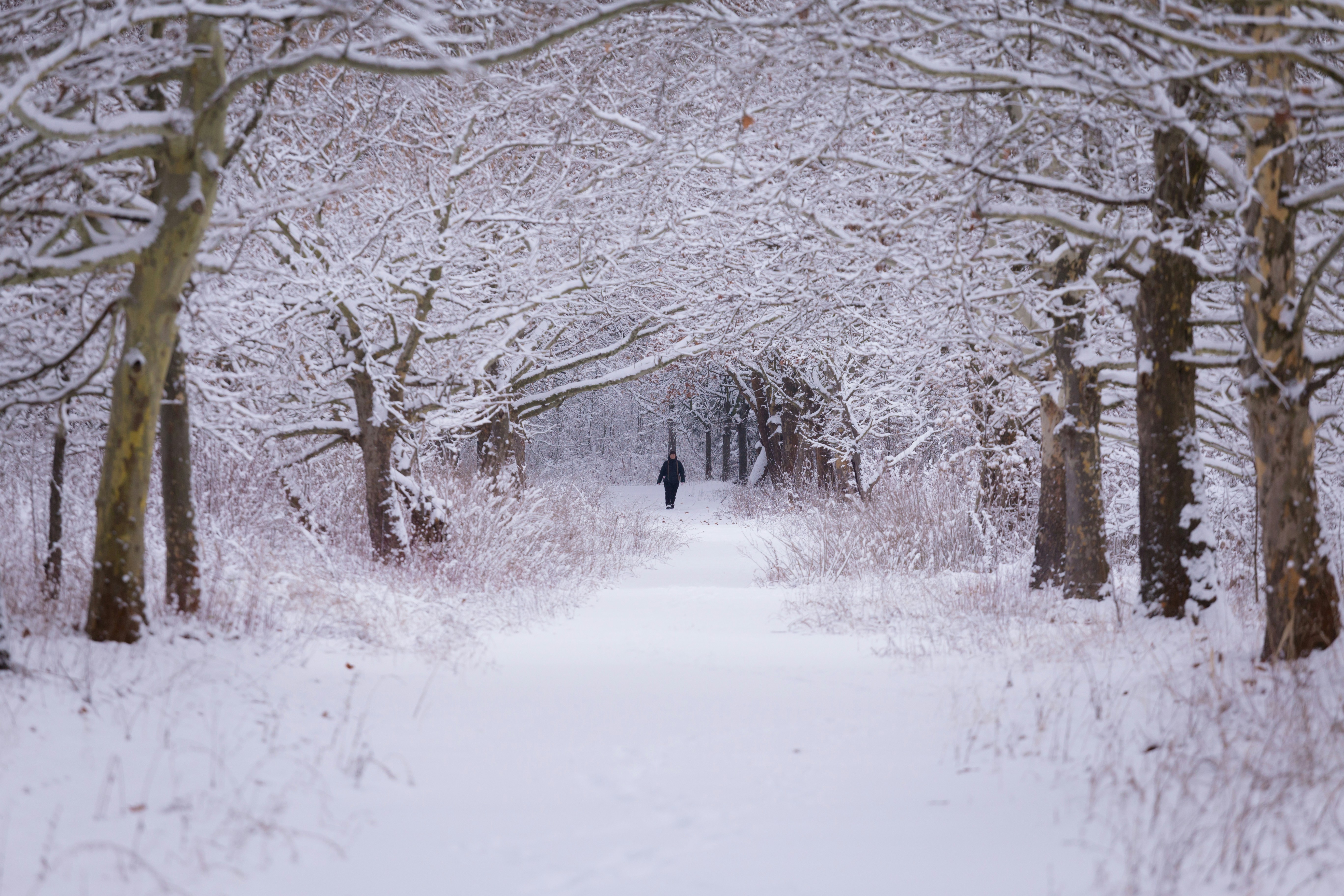 Photo by blooddrainer