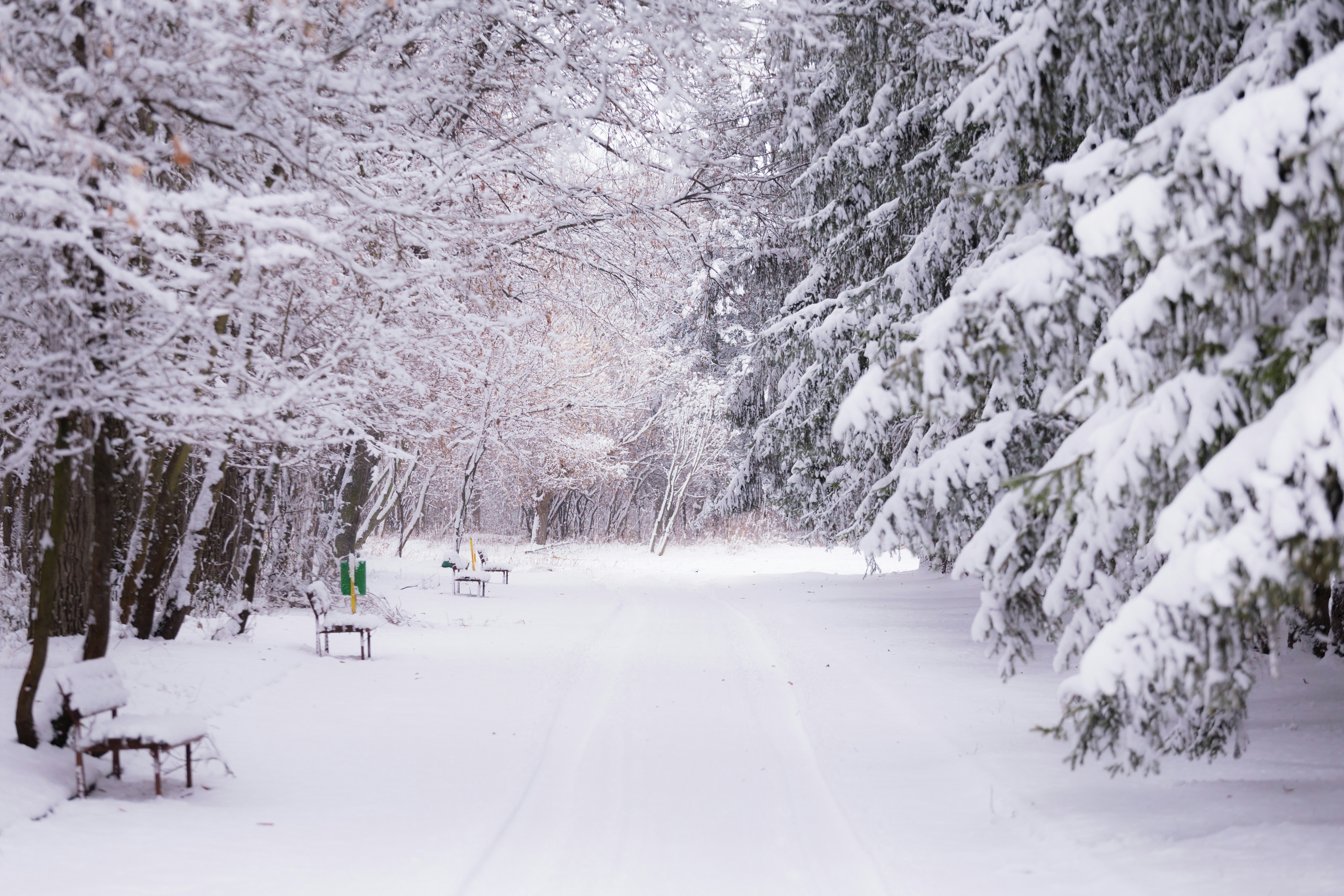 Photo by blooddrainer