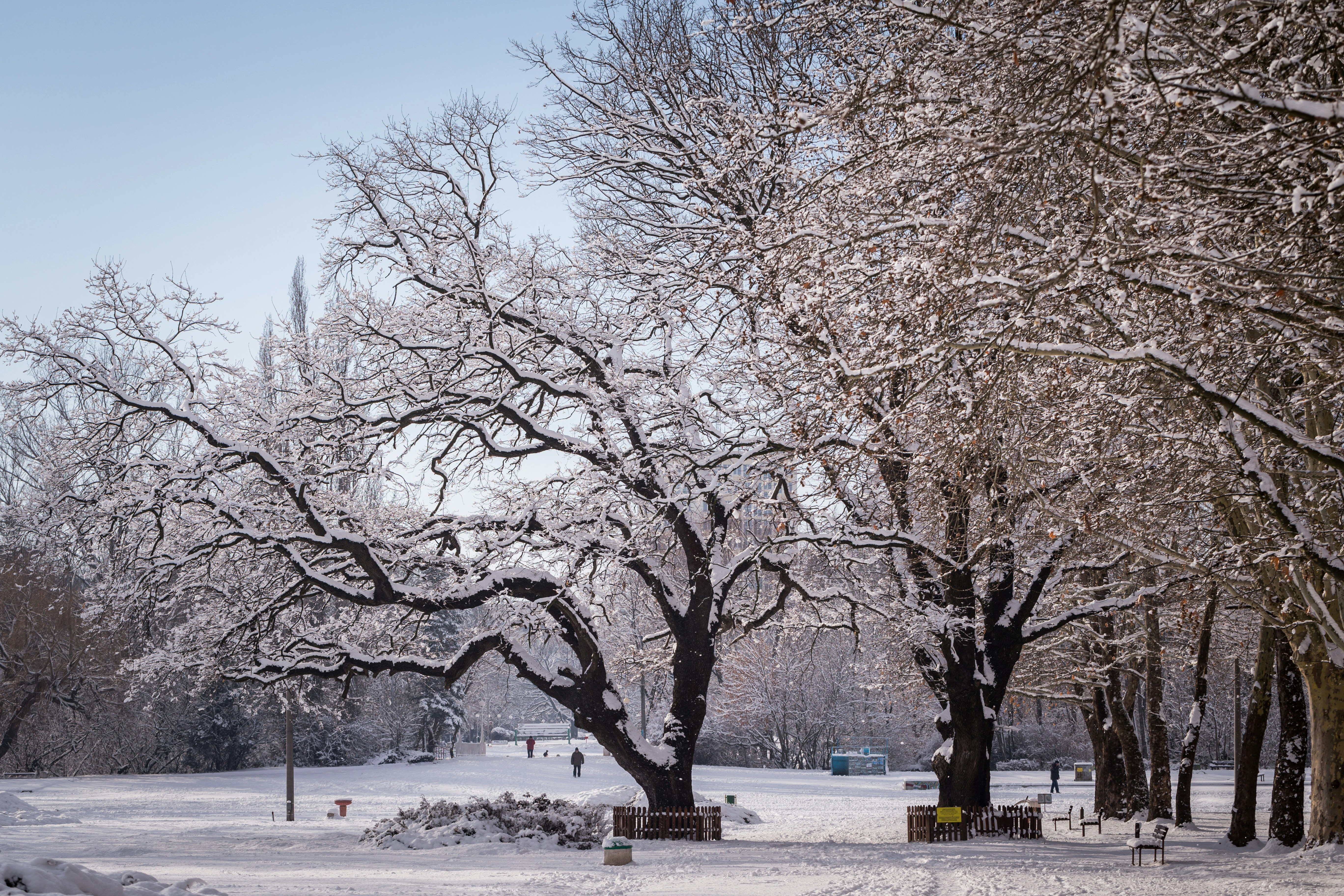 Photo by blooddrainer