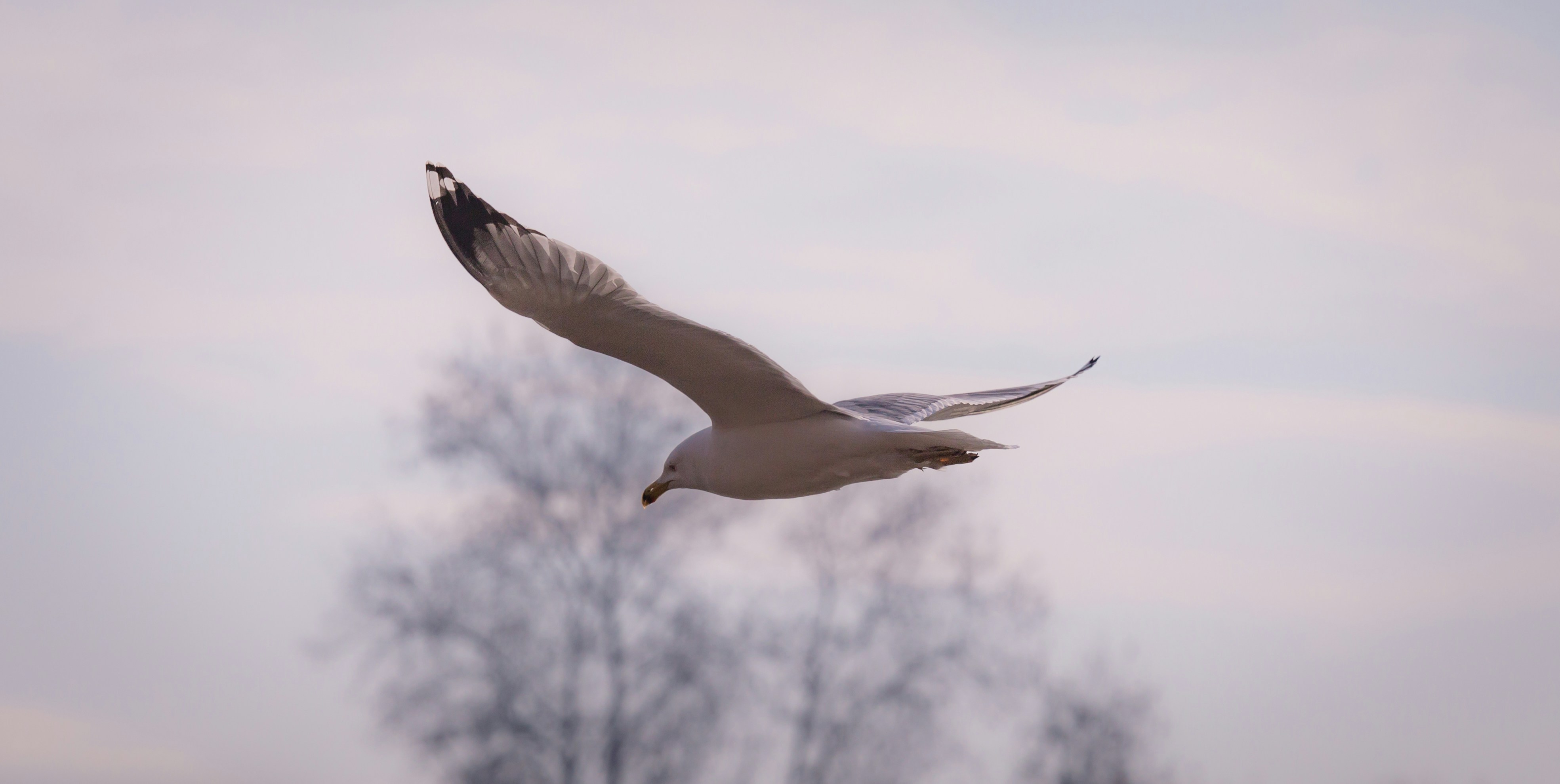 Photo by blooddrainer