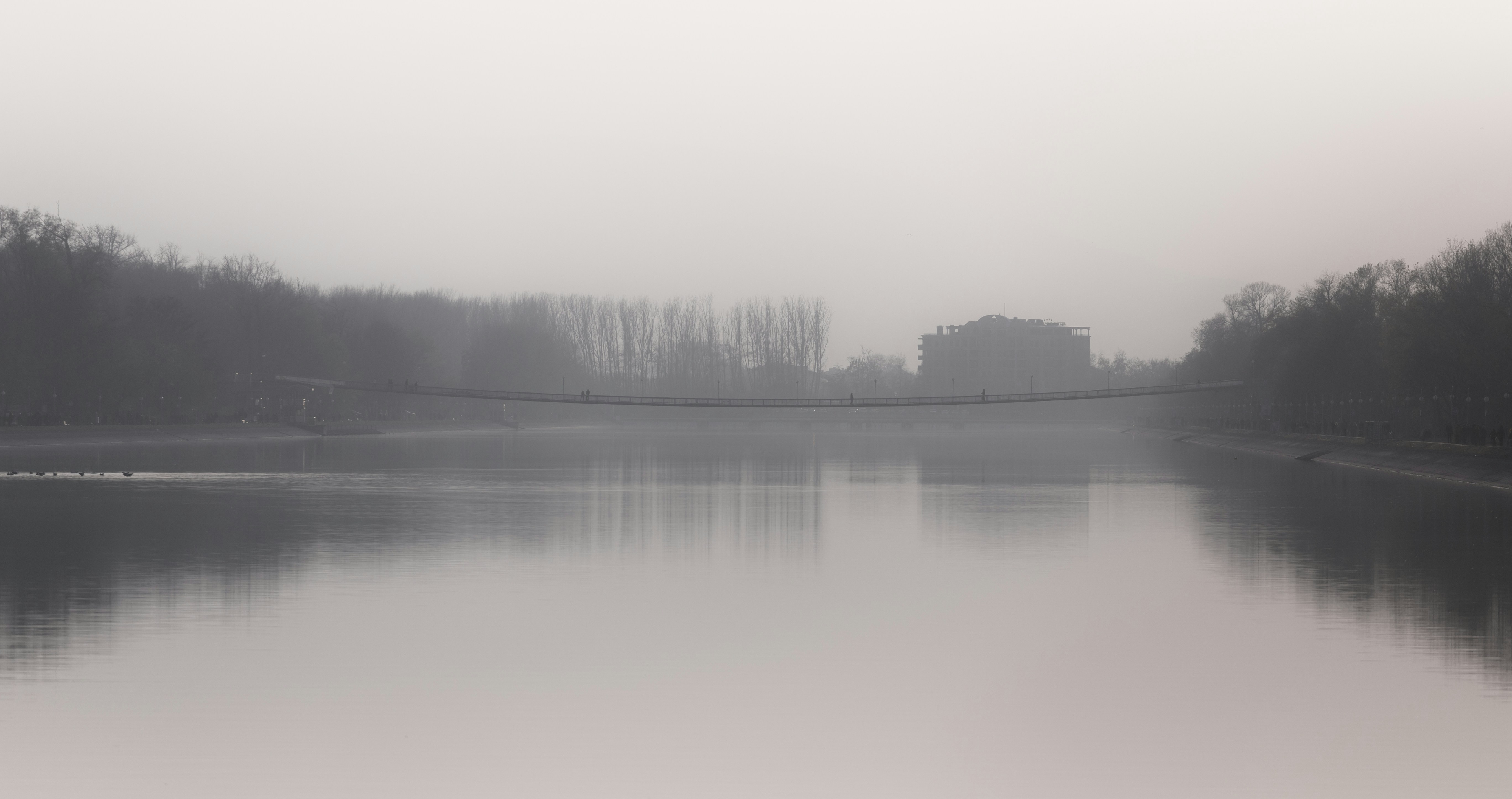 Photo by blooddrainer