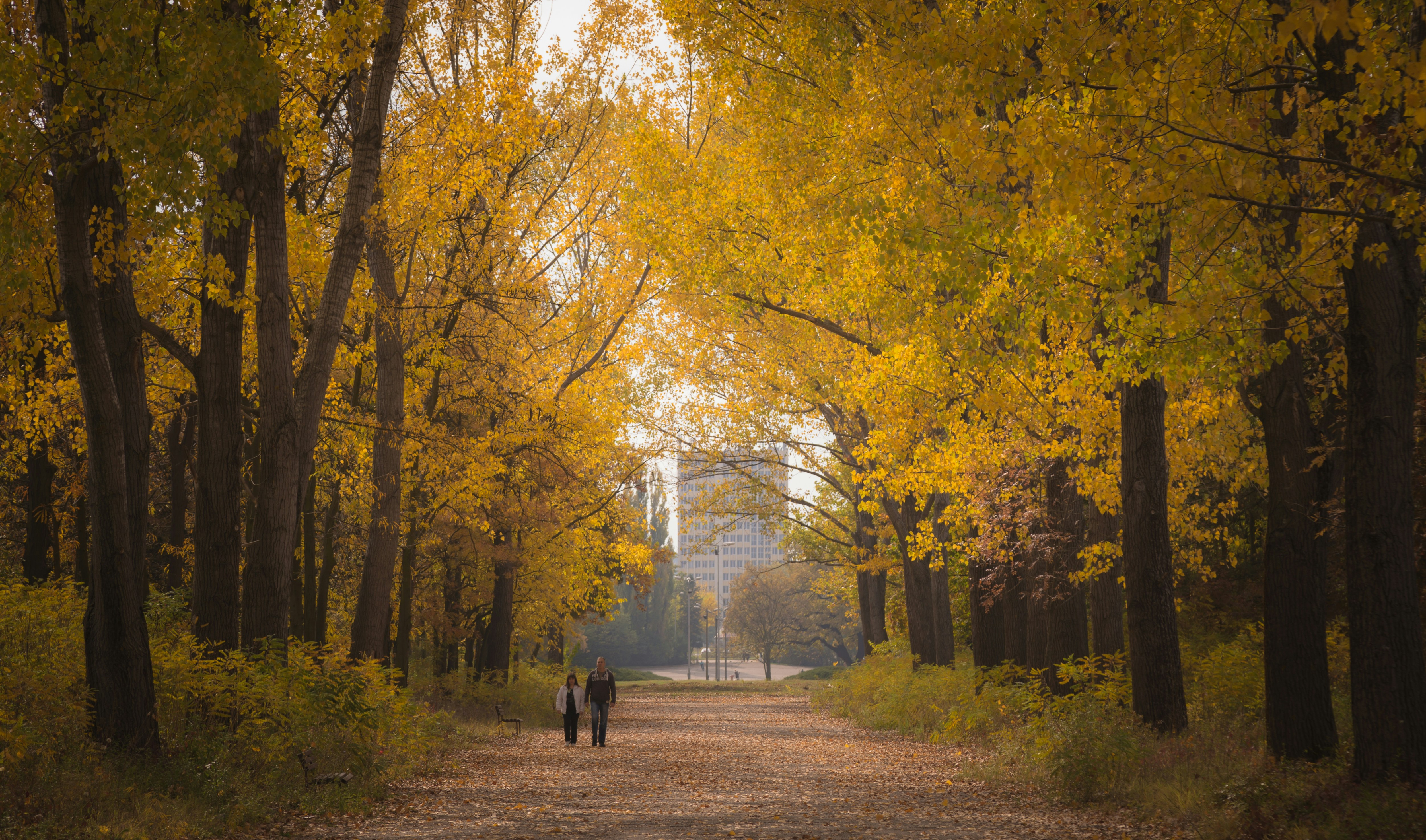 Photo by blooddrainer