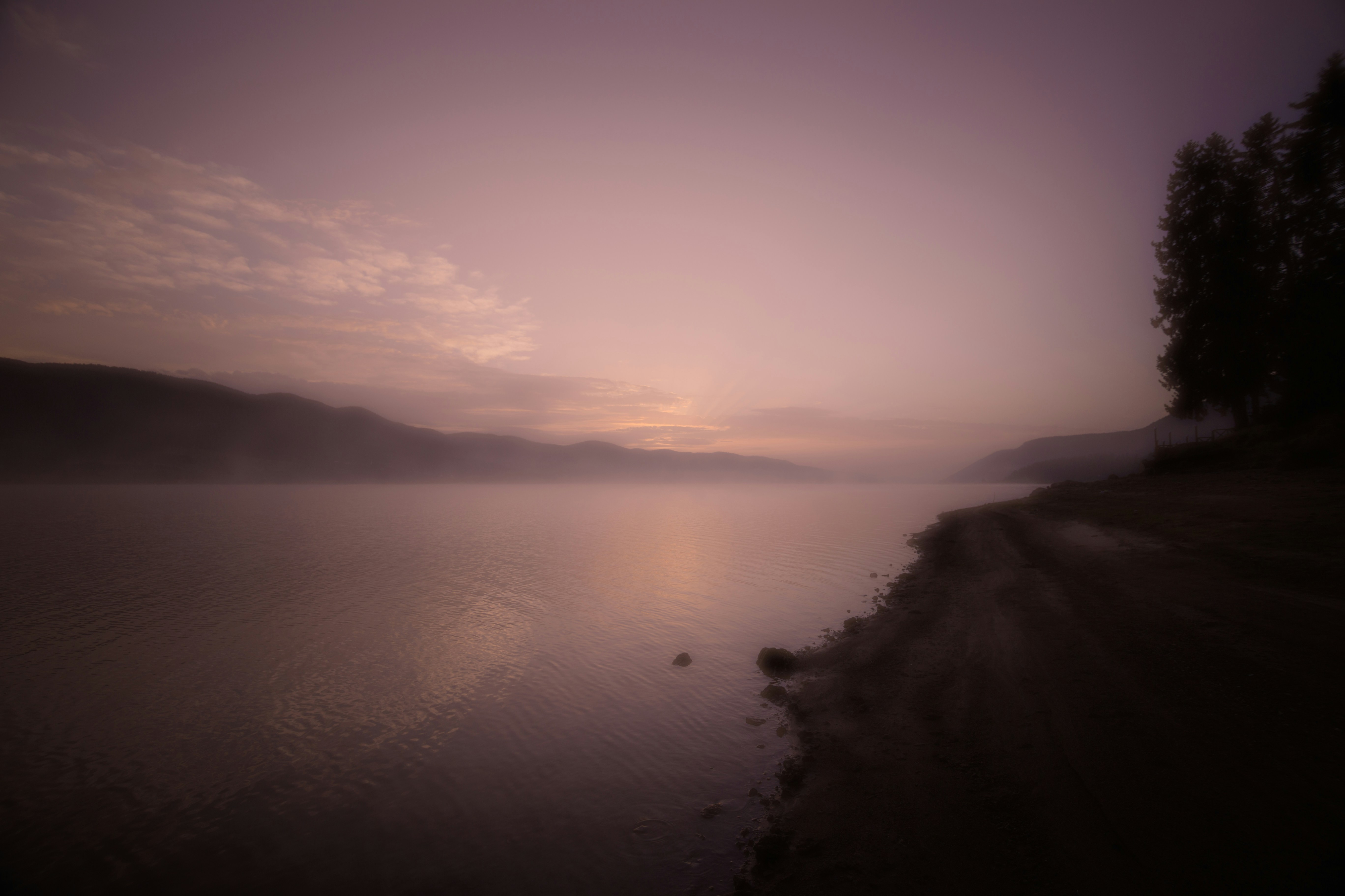 Photo by blooddrainer