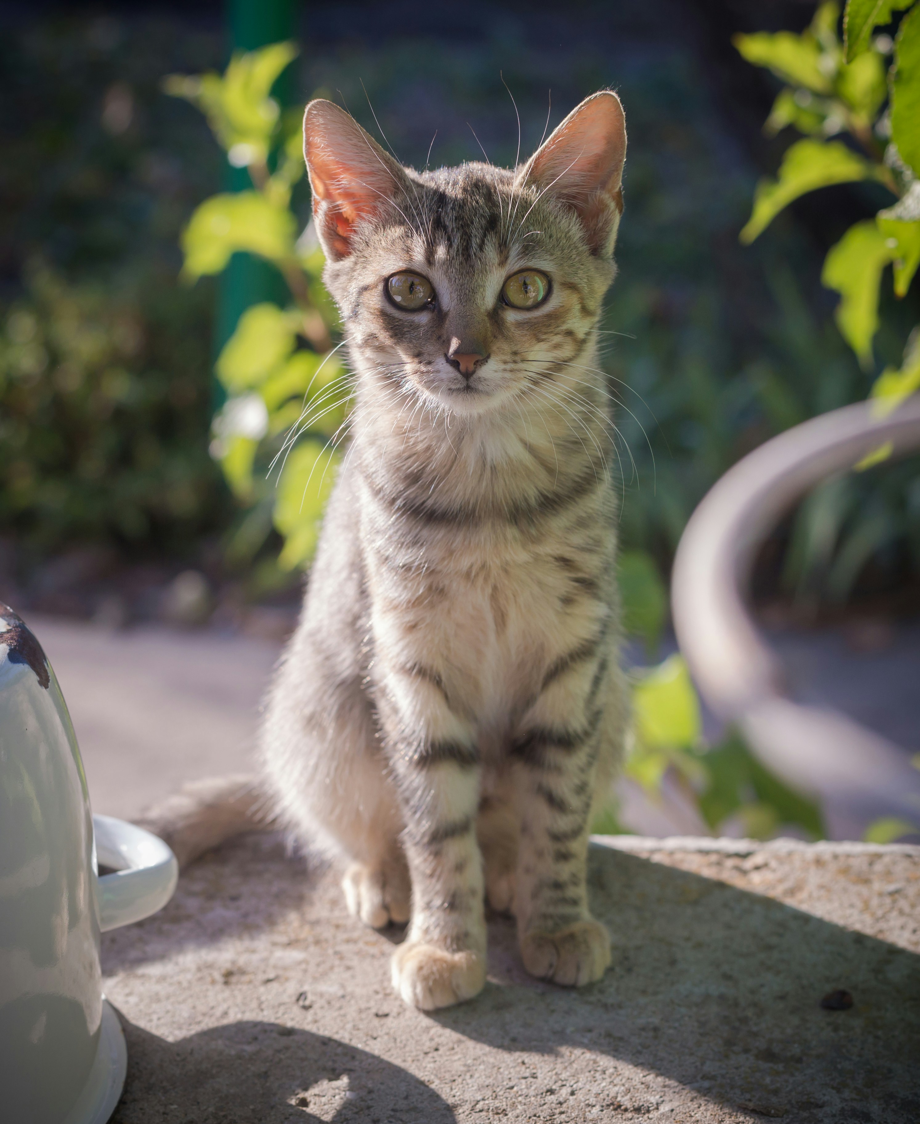 Photo by blooddrainer