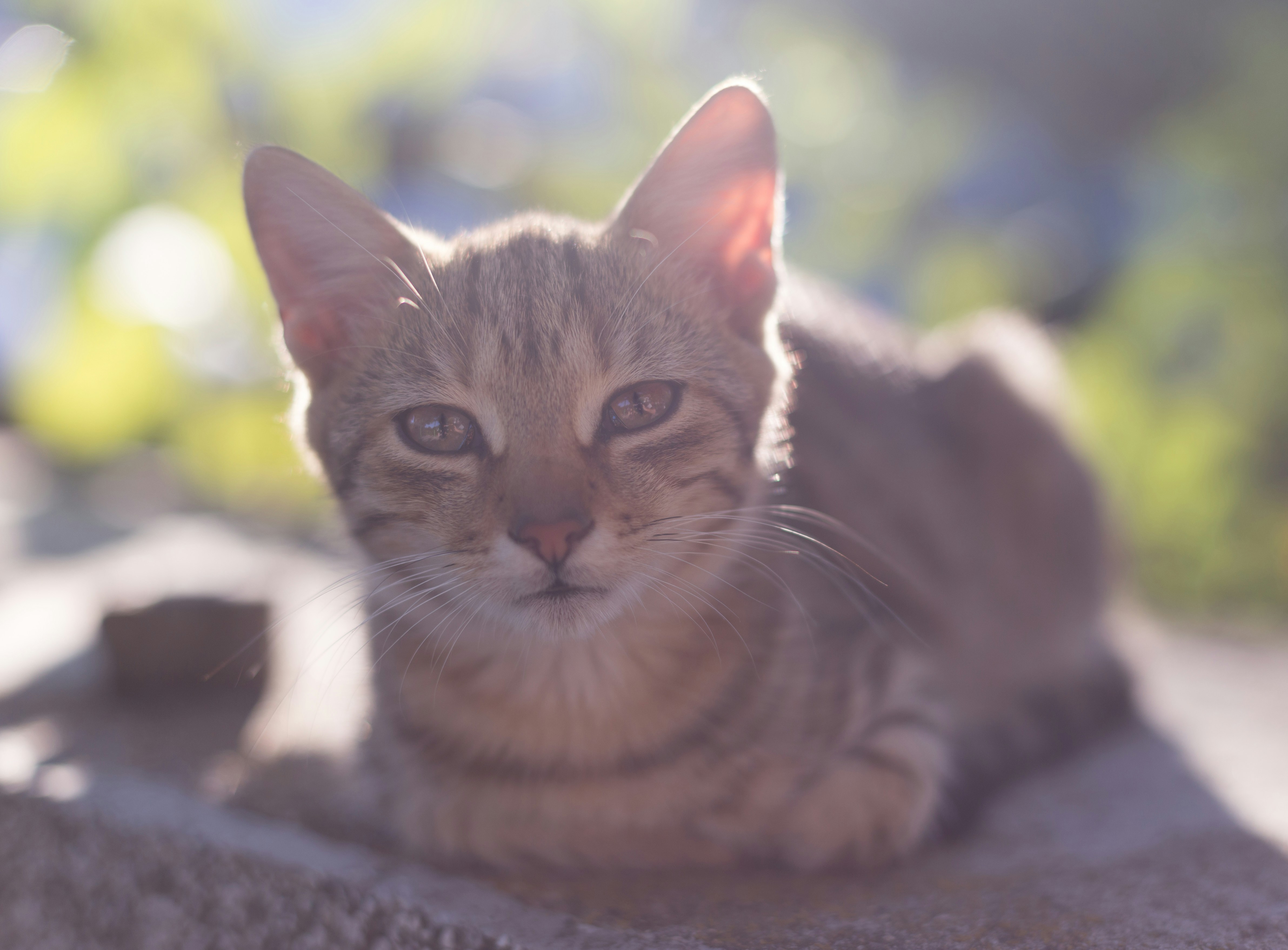 Photo by blooddrainer