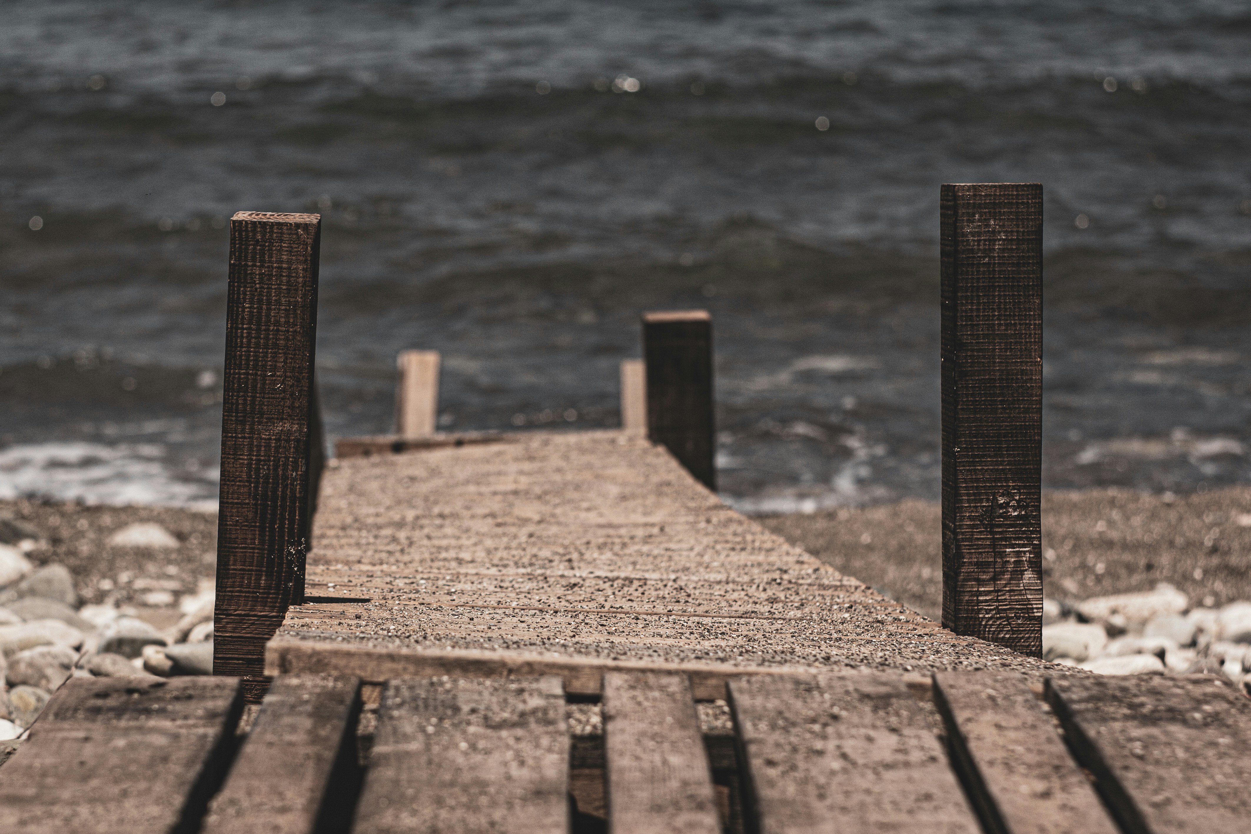 Photo by nocturnal_corvus