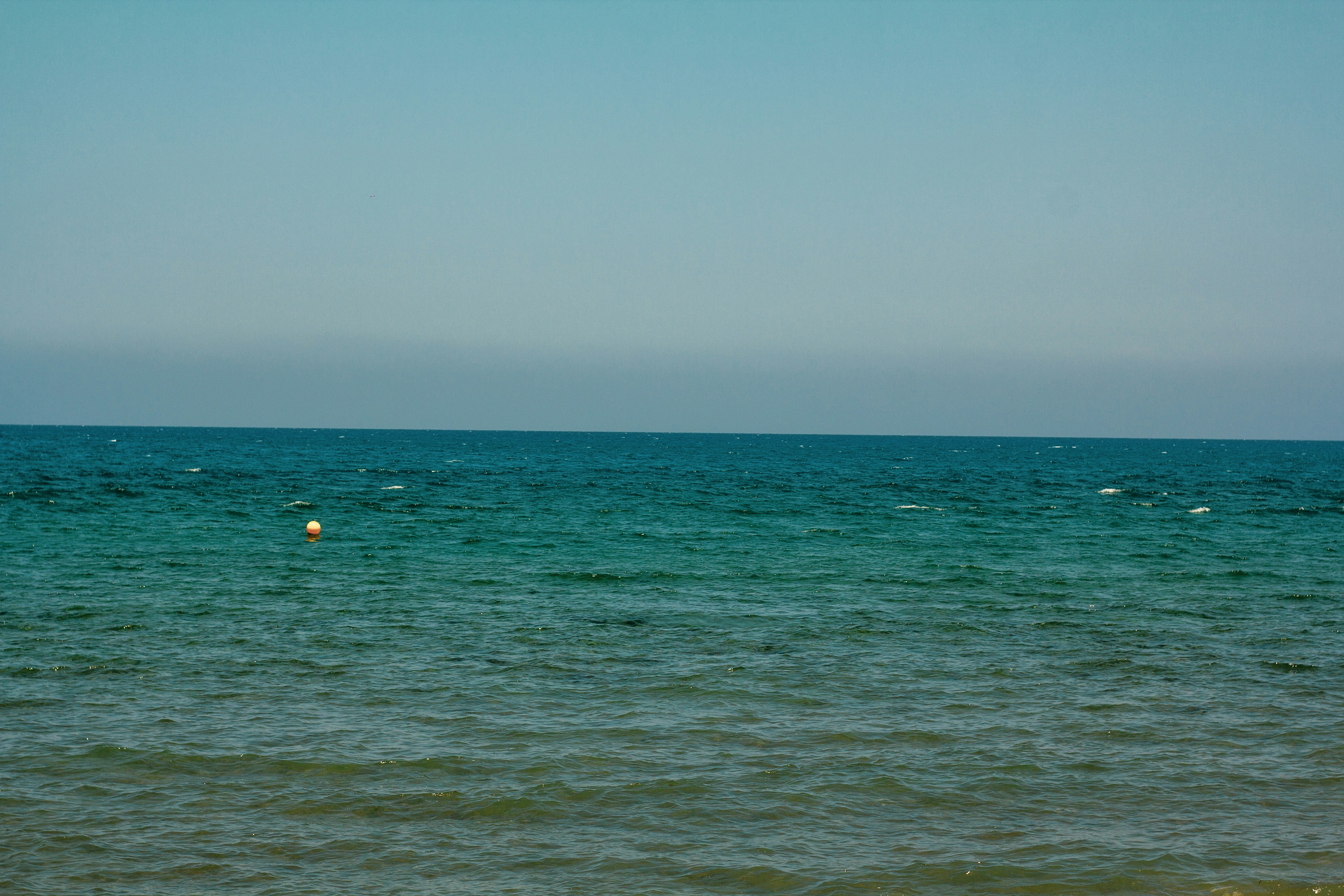 Photo by nocturnal_corvus