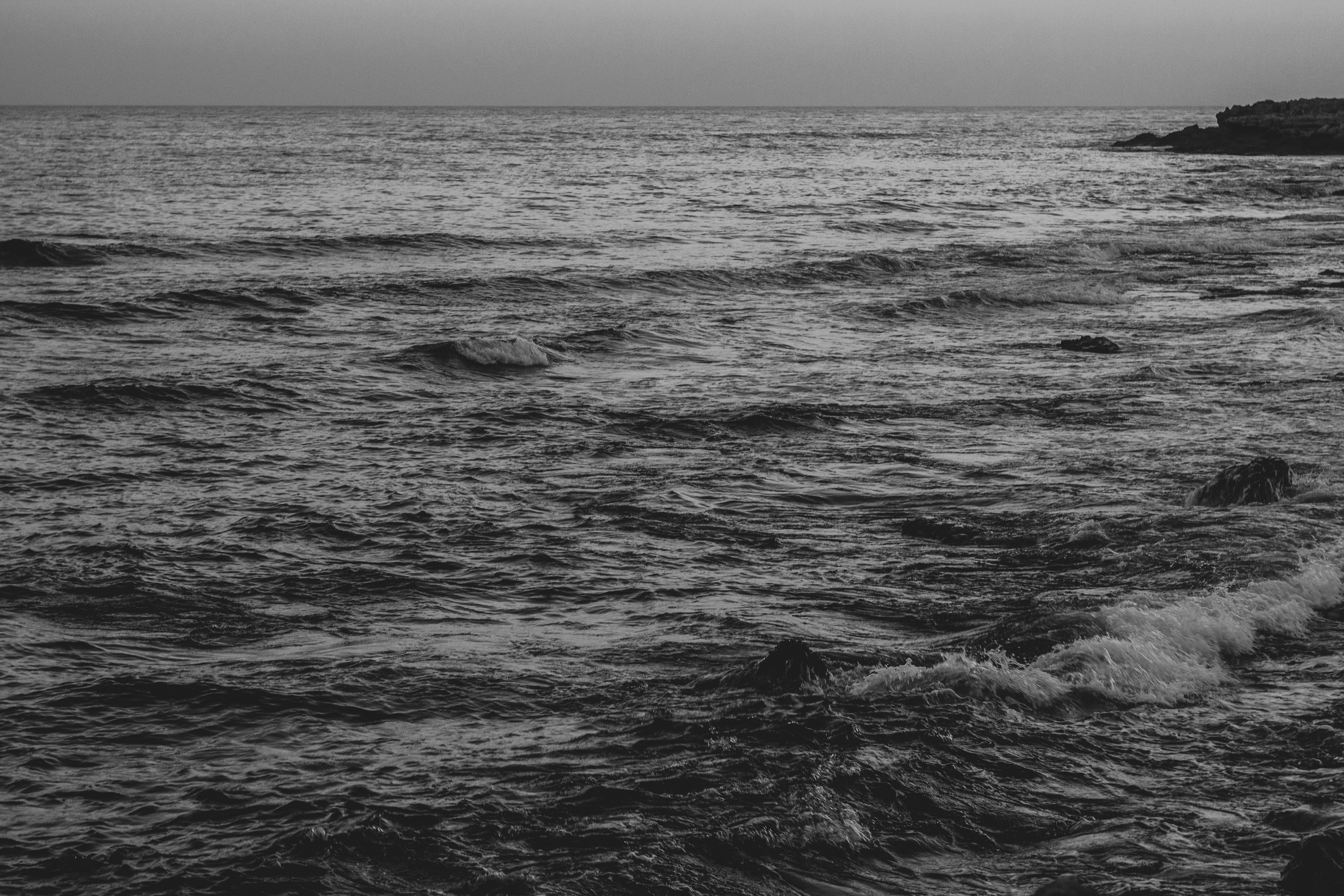 Photo by nocturnal_corvus