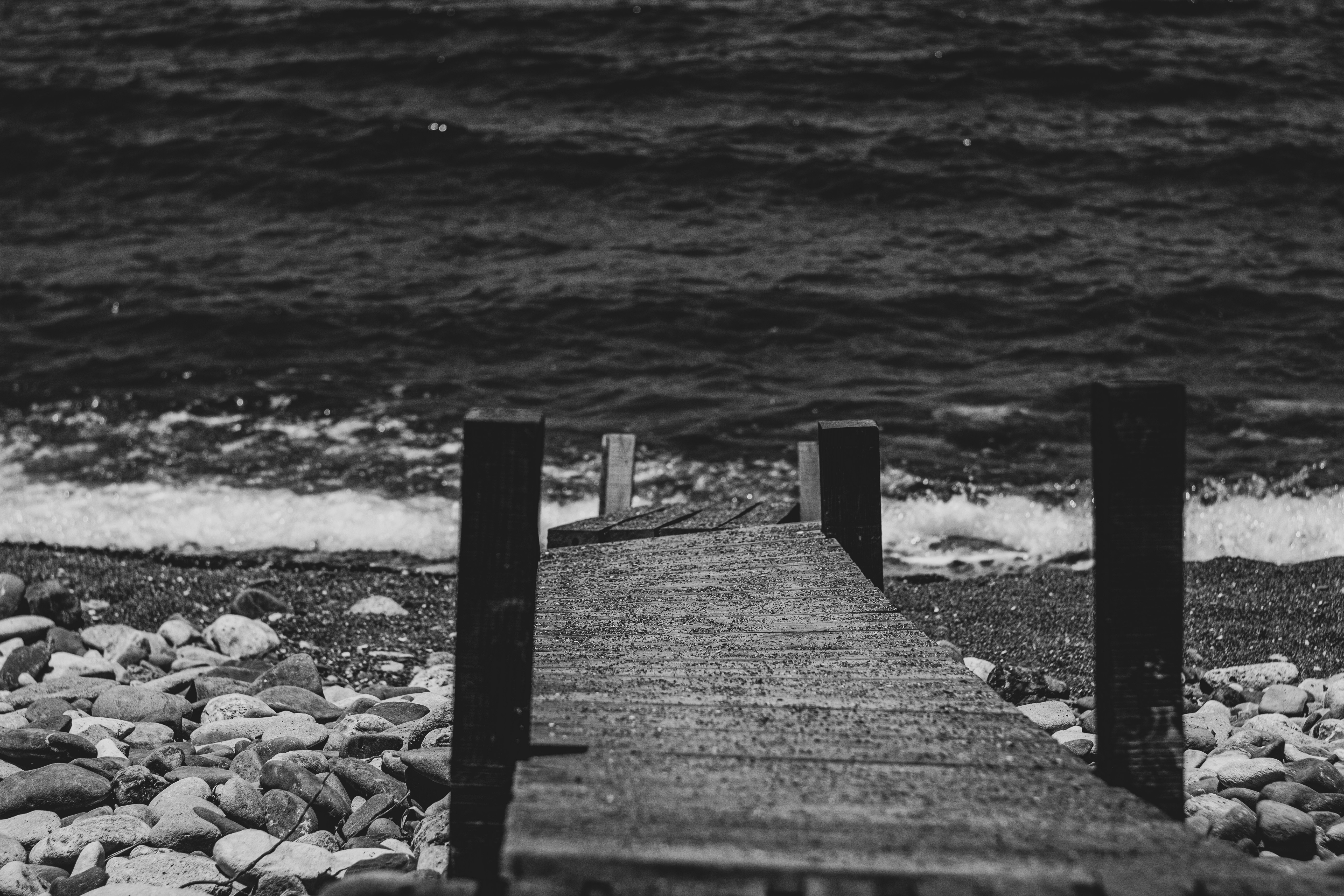 Photo by nocturnal_corvus