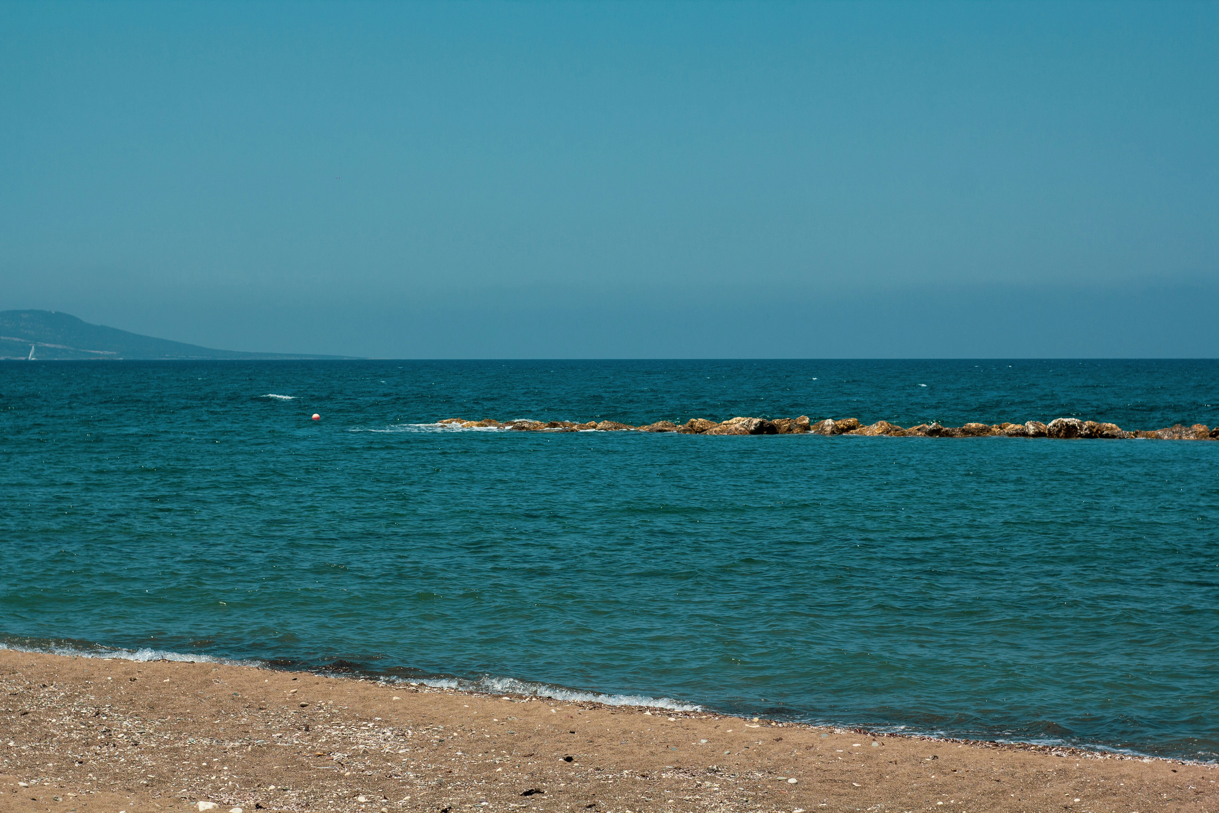 Photo by nocturnal_corvus