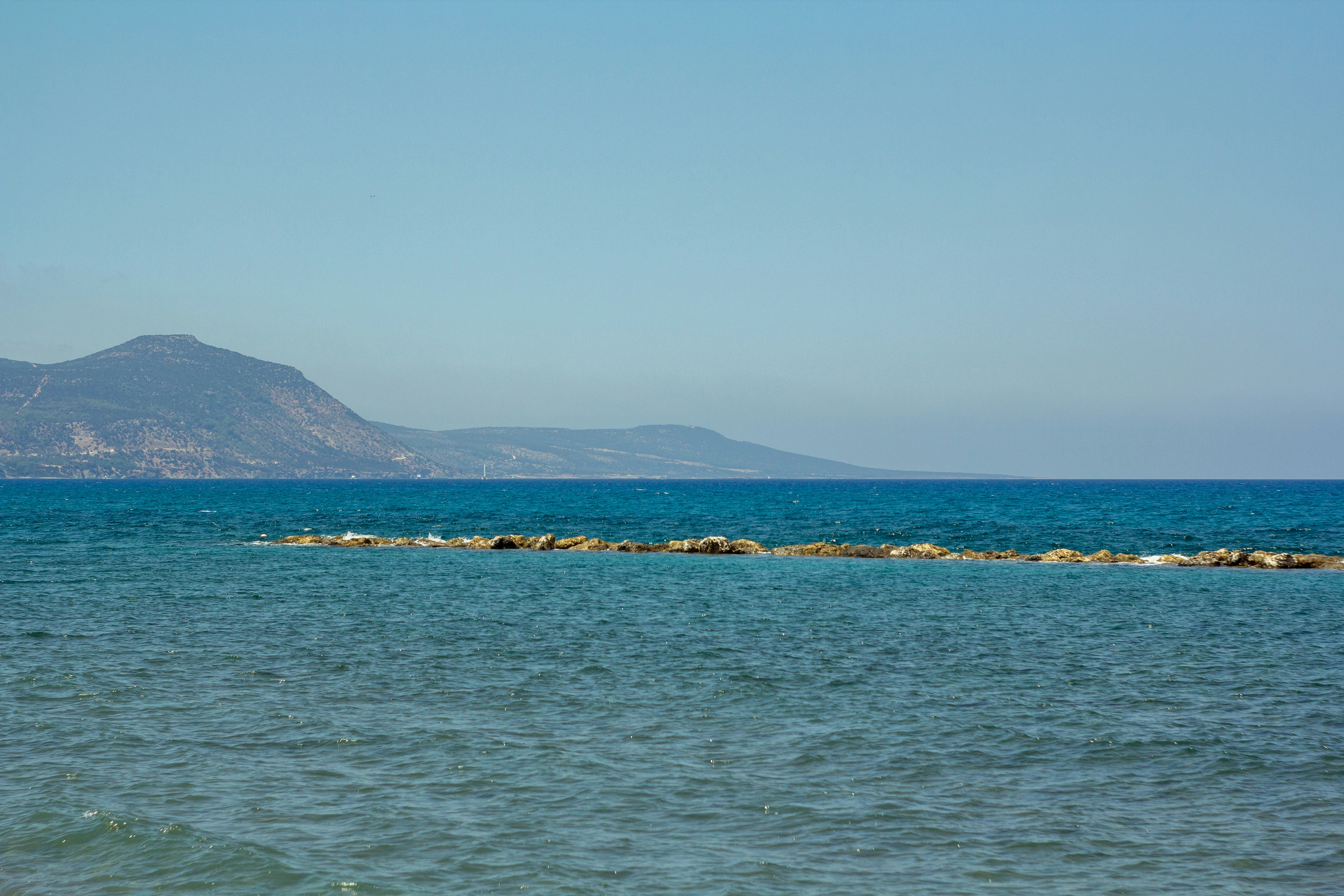 Photo by nocturnal_corvus