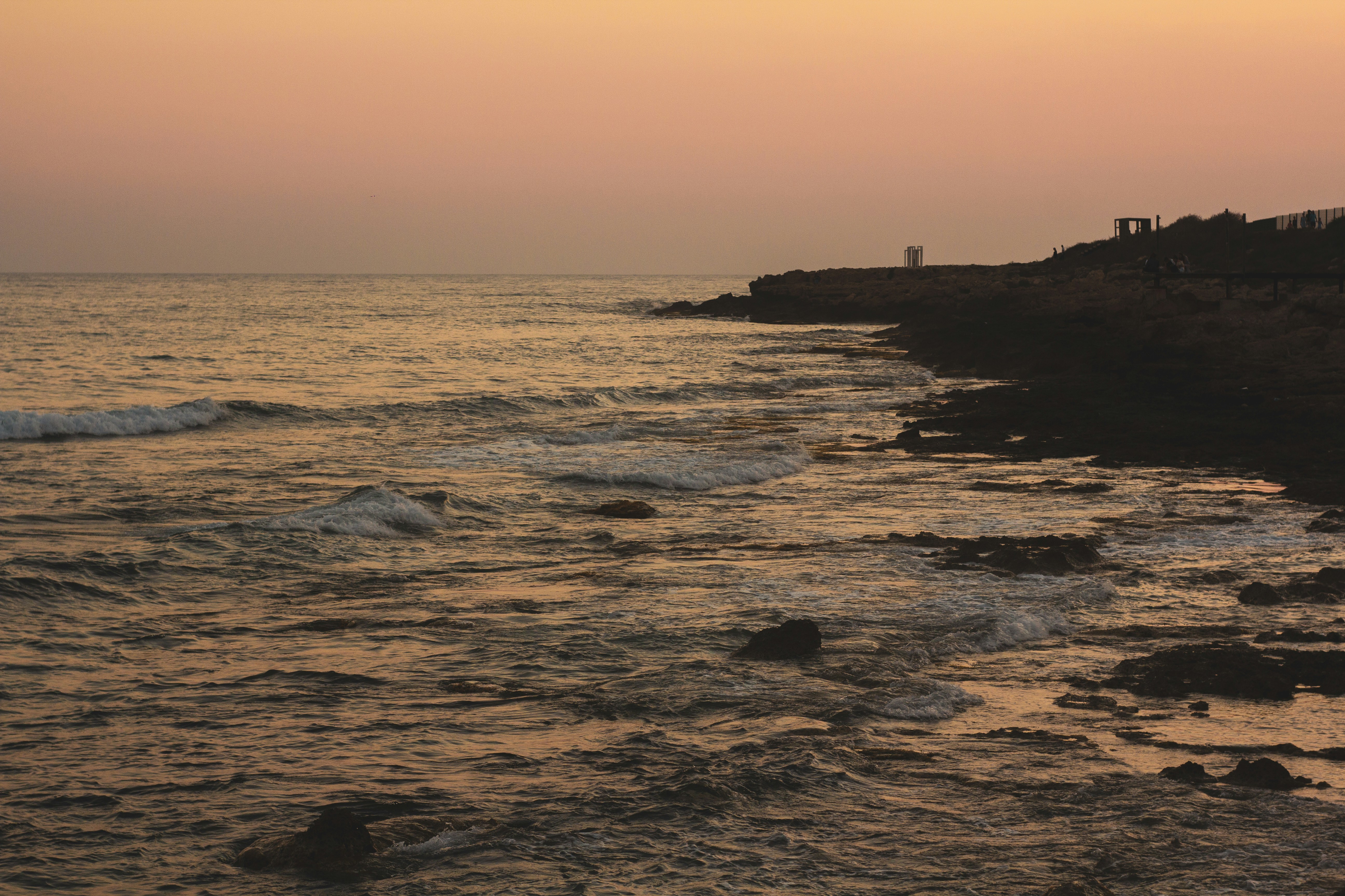 Photo by nocturnal_corvus