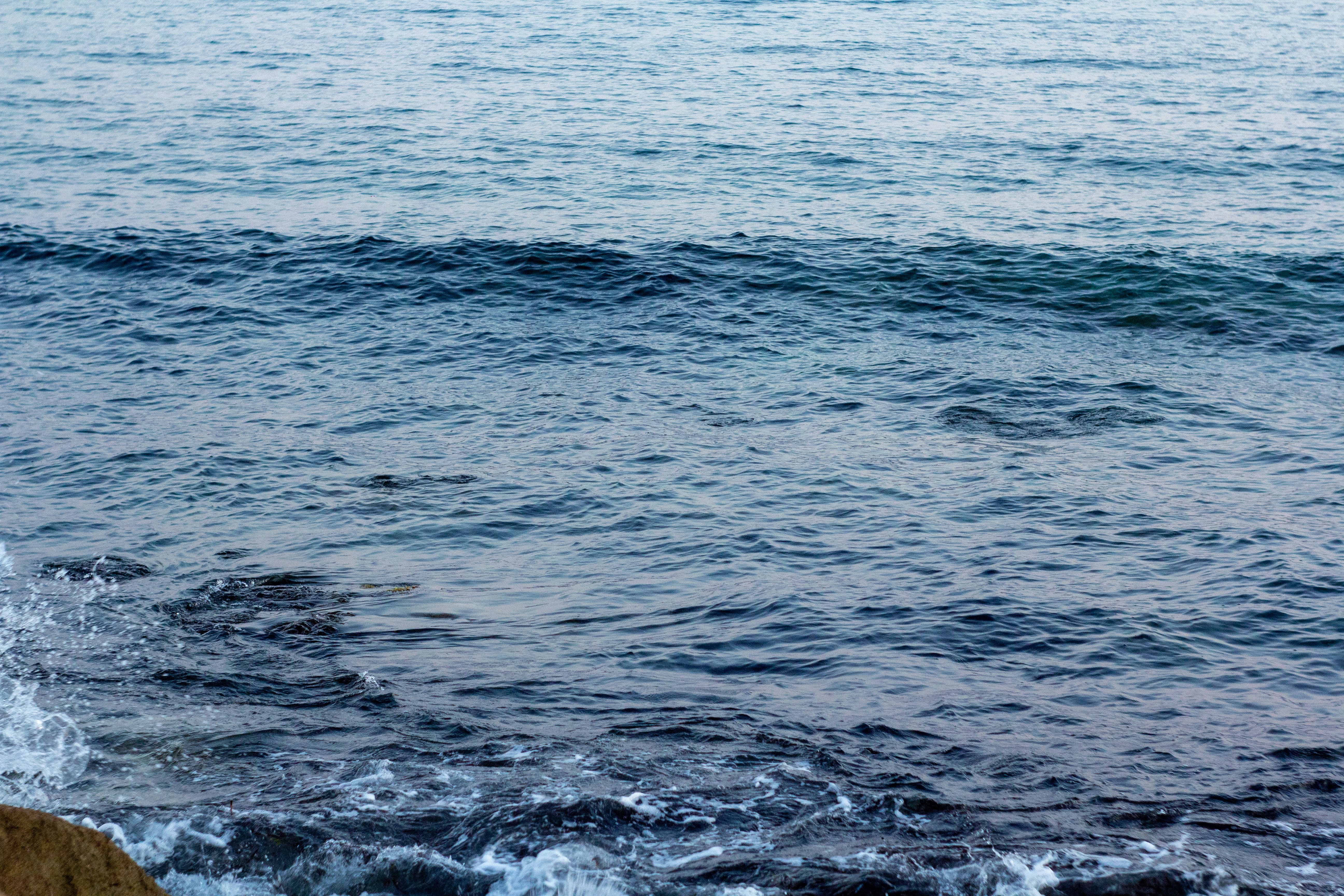 Photo by nocturnal_corvus