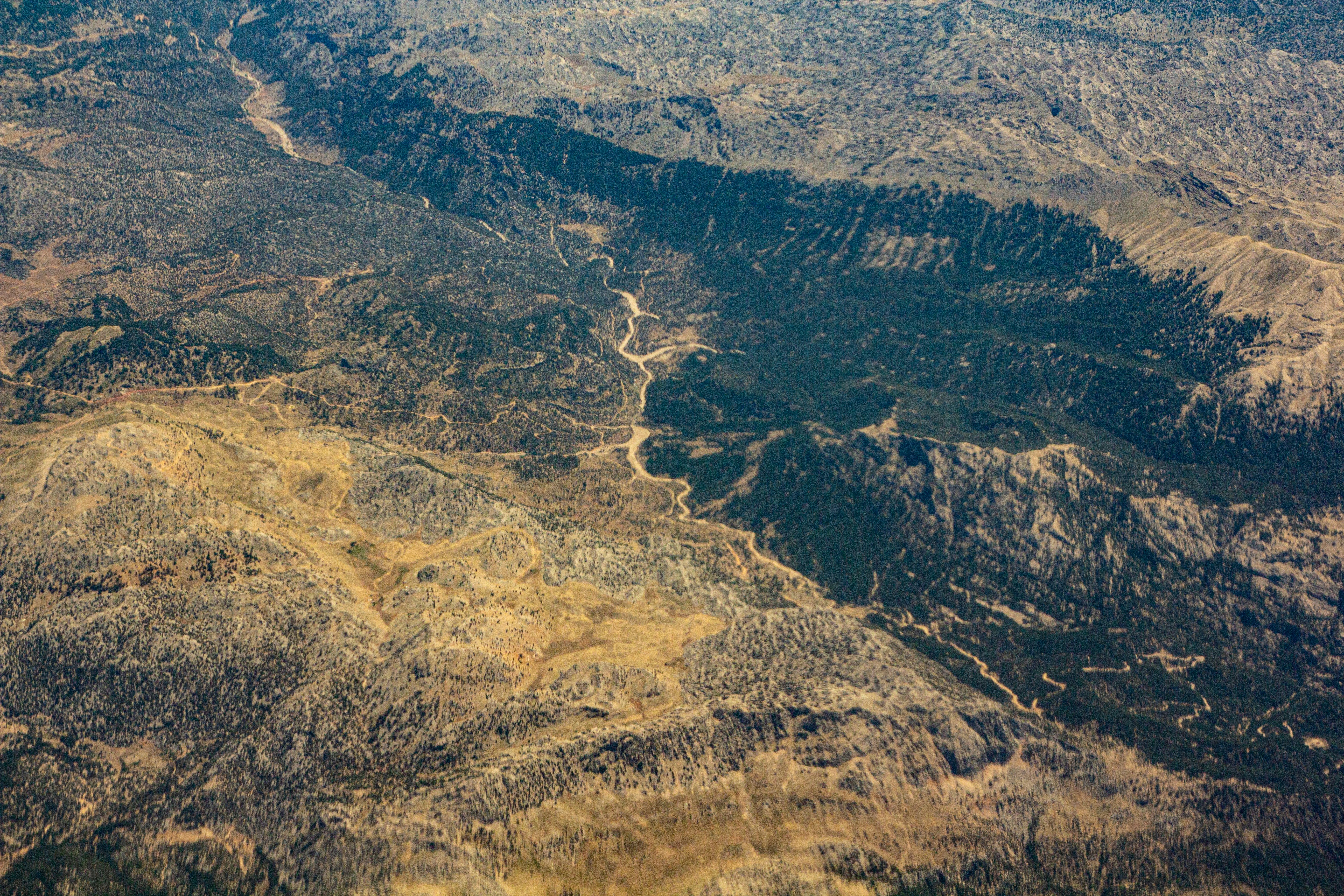 Photo by nocturnal_corvus