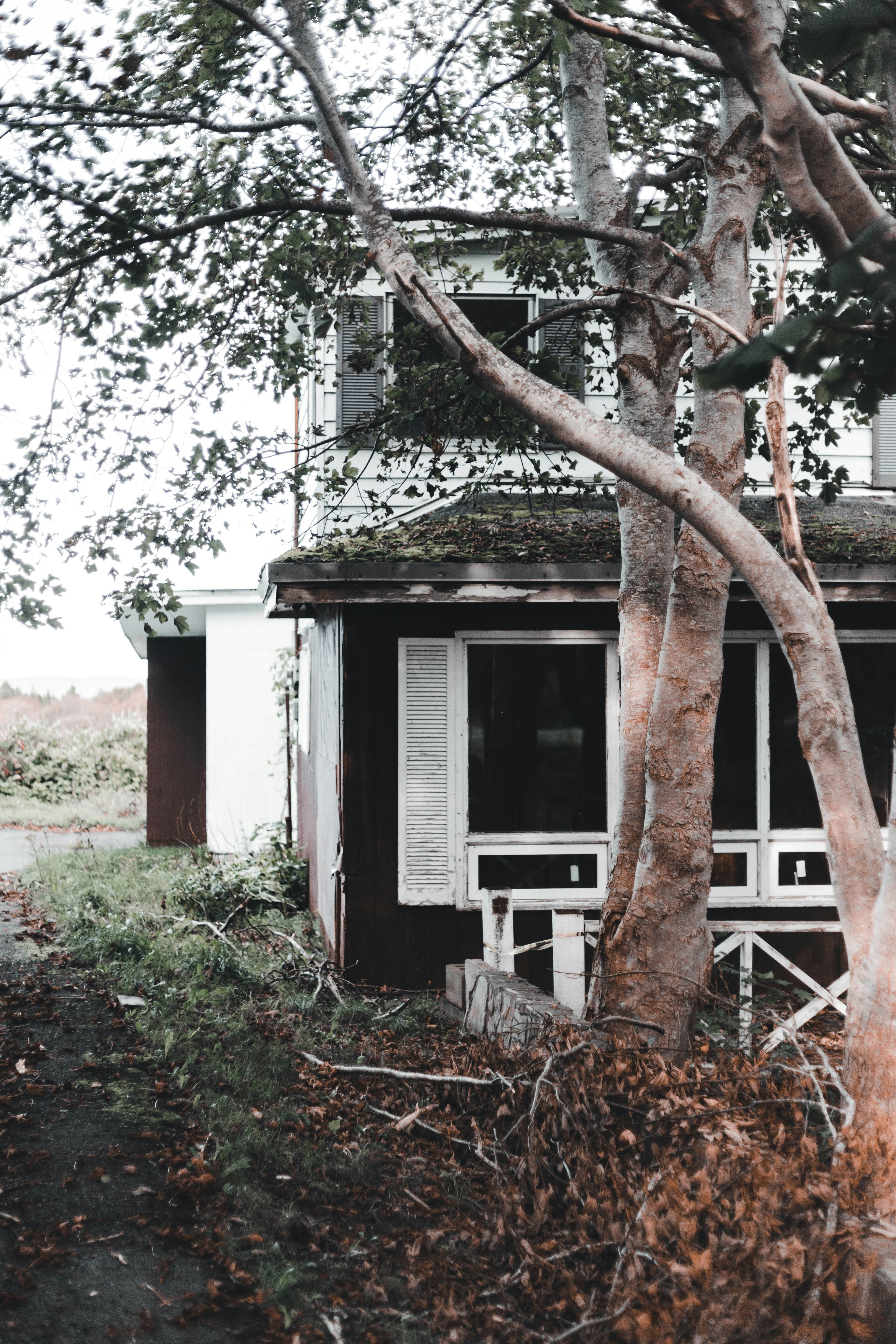 Photo by introspectivedsgn