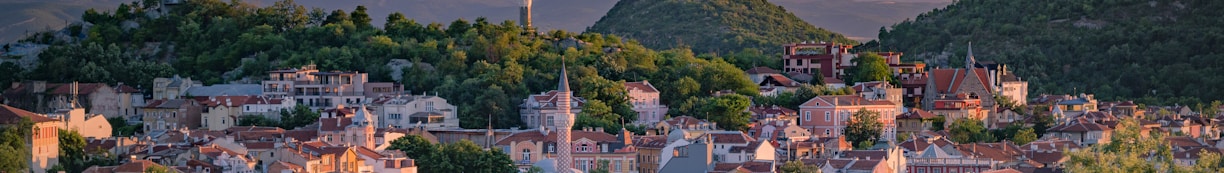 a small town surrounded by trees and mountains