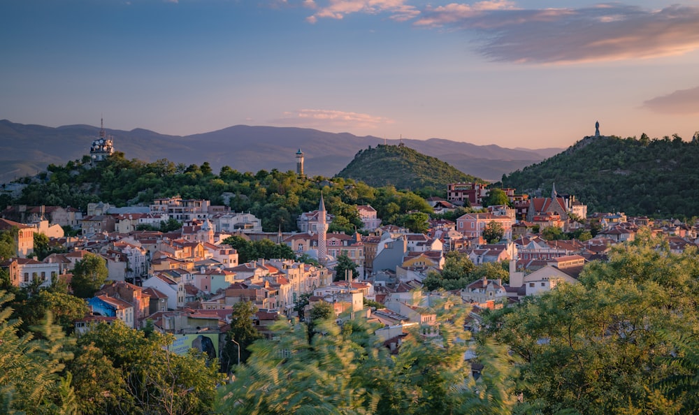 Eine kleine Stadt umgeben von Bäumen und Bergen