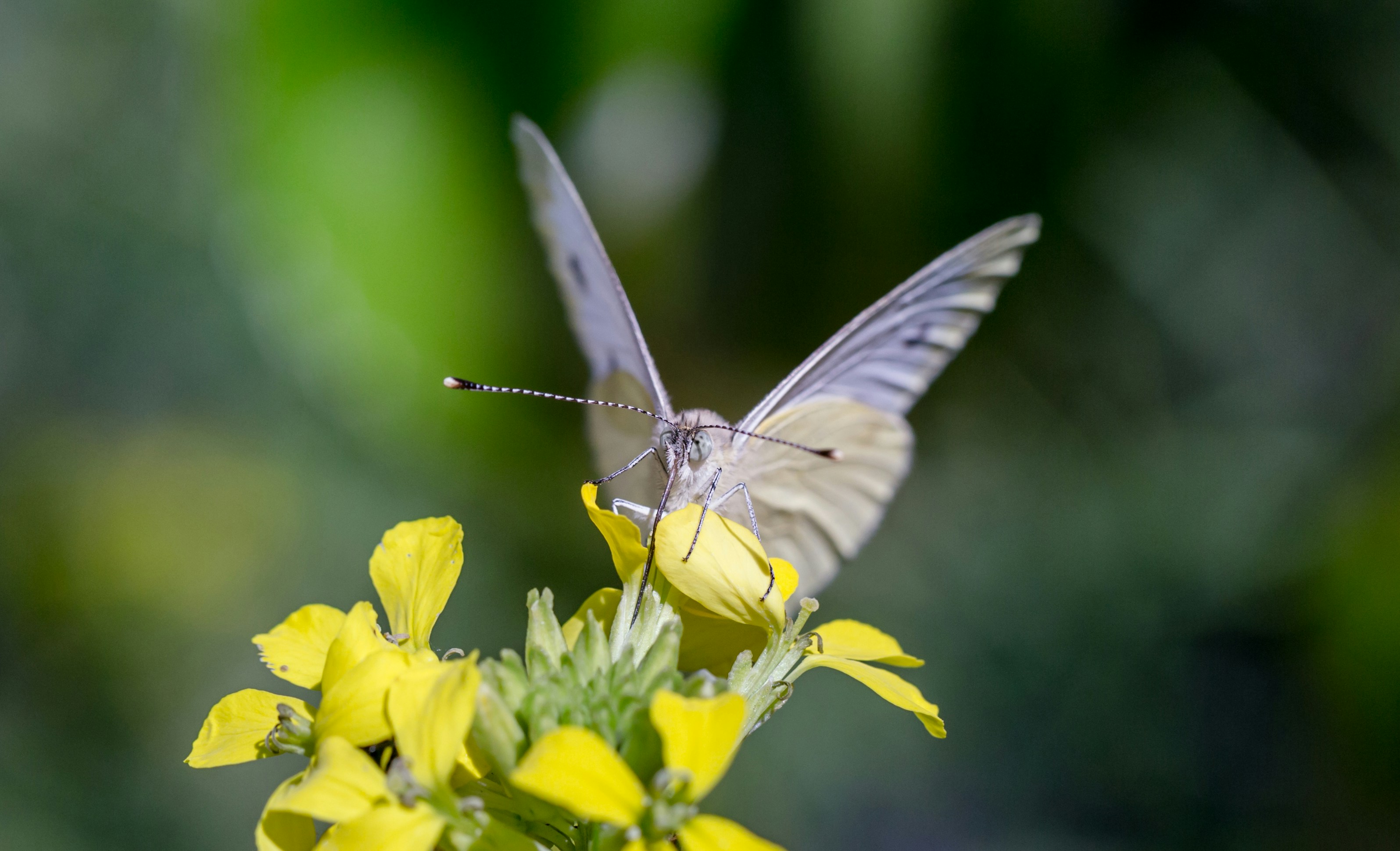 Photo by blooddrainer