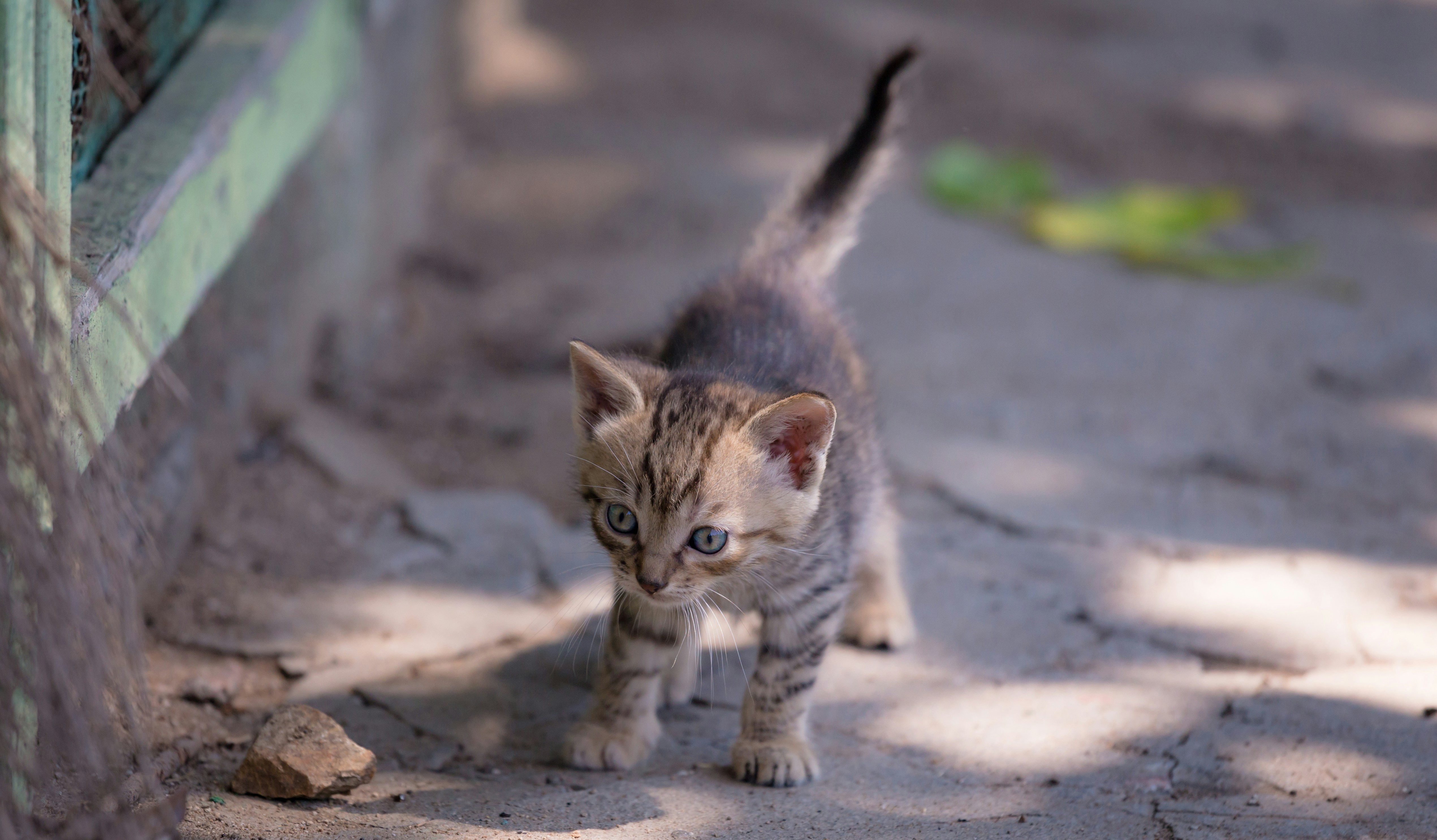 Photo by blooddrainer