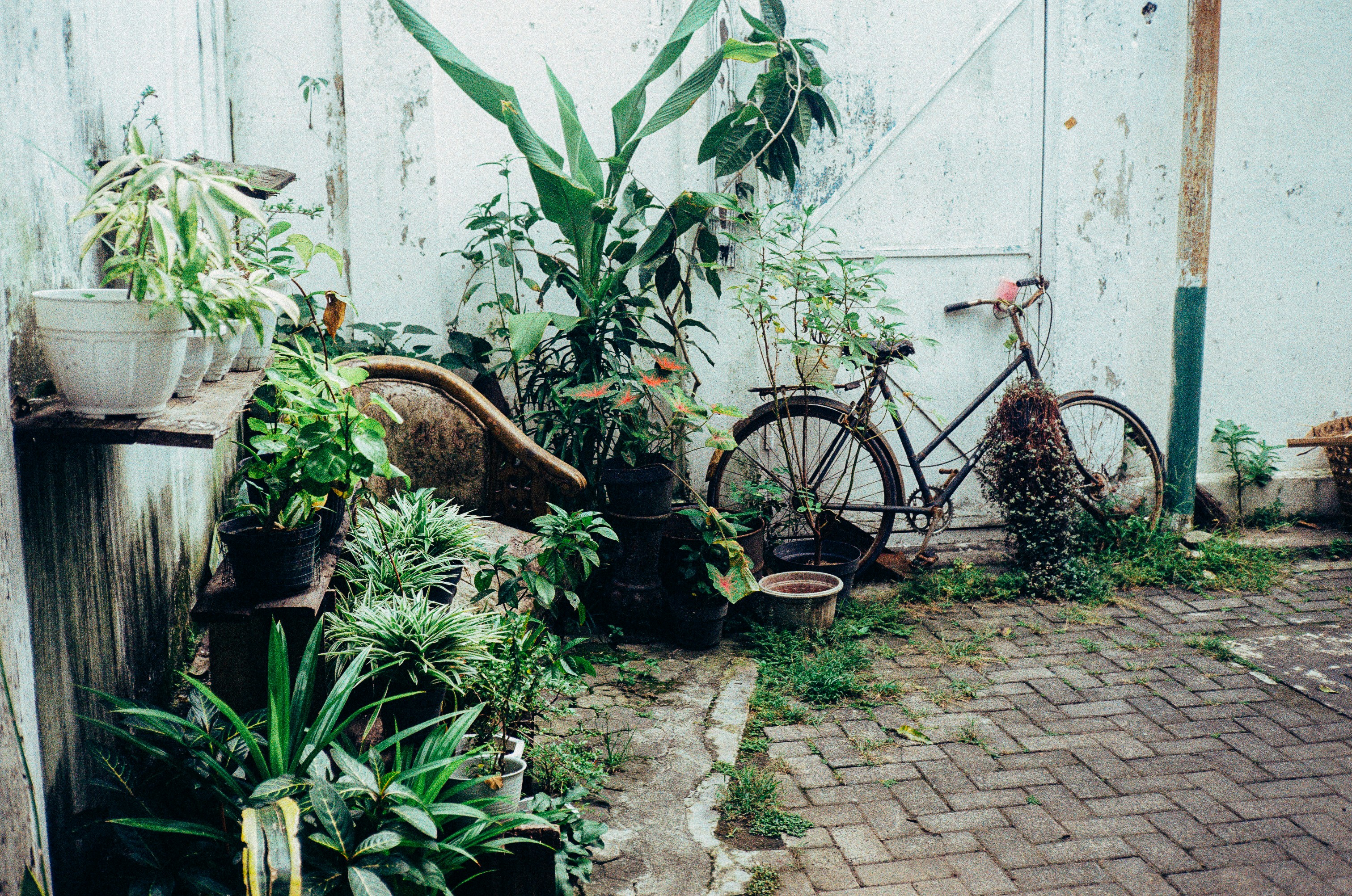 Photo by keriliwi