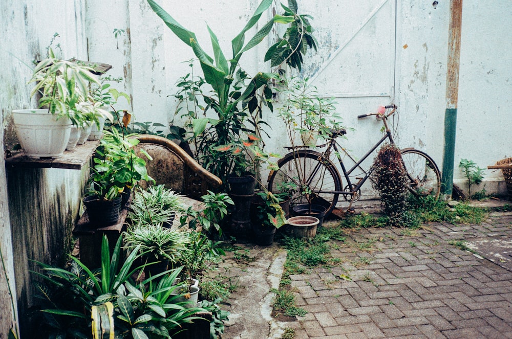 a bike parked next to a building with a lot of plants