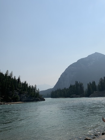 A tranquil river winding through lush pine forests near a quaint hill town.