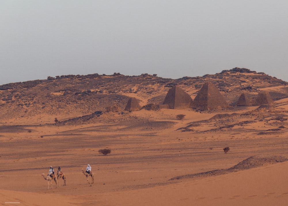 a group of people riding camels across a desert