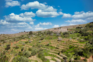 A peaceful rural landscape showcasing the natural beauty of Terraviva’s land offerings.