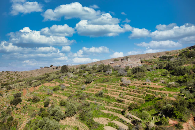 A welcoming rural office with maps and land documents spread out, symbolizing TerraViva's expertise.