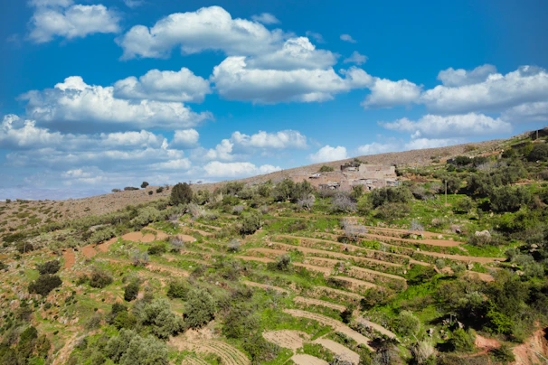 A peaceful rural landscape showcasing the natural beauty of Terraviva’s land offerings.