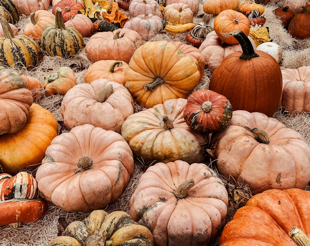 a pile of pumpkins sitting on top of hay