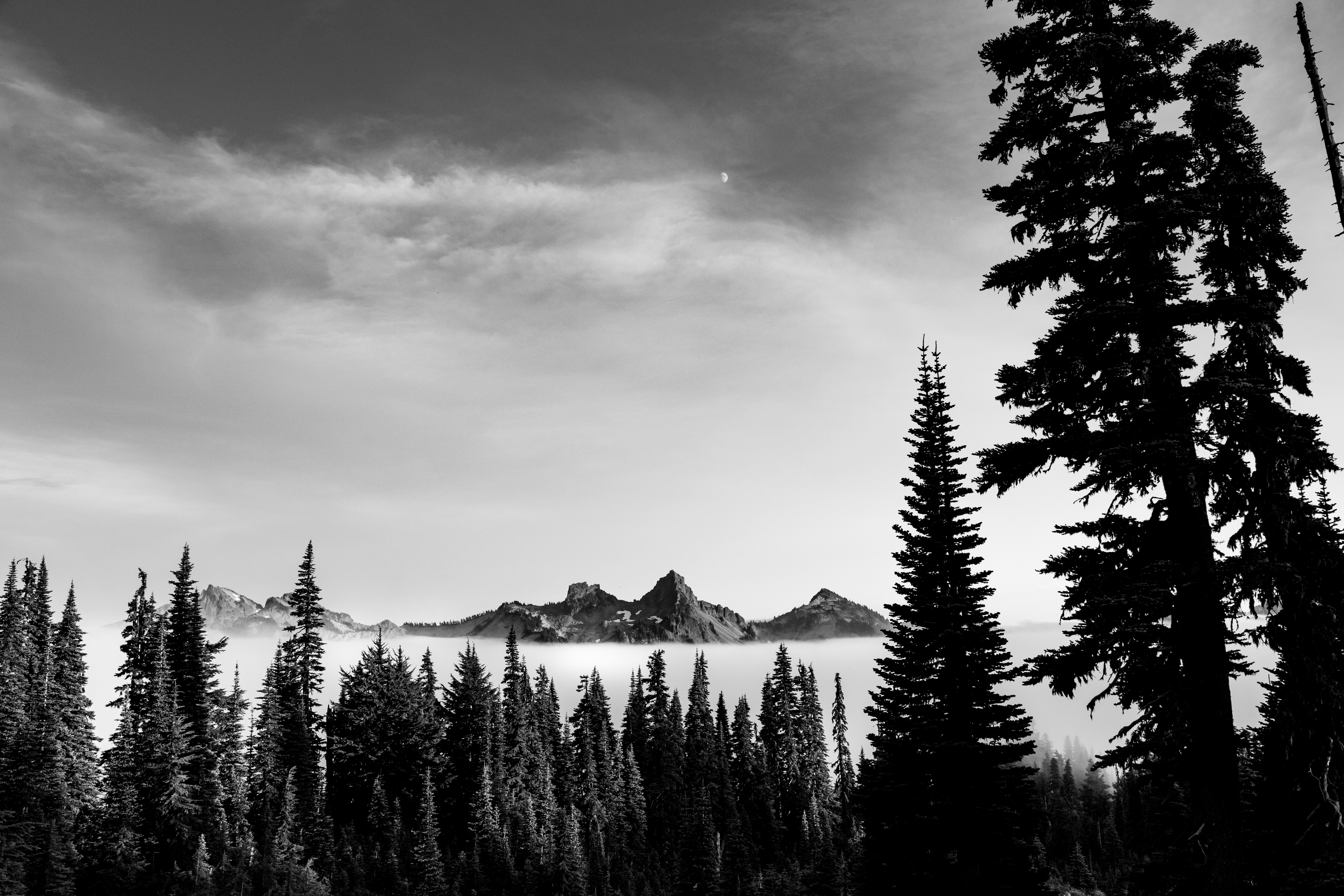 Photo by kevinmsegura