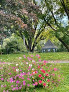 A vibrant garden scene featuring a variety of colorful flowers in the foreground. Behind the flowers is a lush green lawn bordered by tall, leafy trees. A small gazebo with a pointed roof is partially visible among the trees, providing a focal point in the serene landscape.