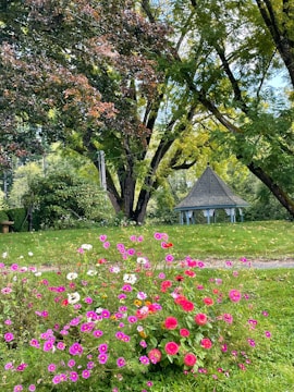 A vibrant garden scene featuring a variety of colorful flowers in the foreground. Behind the flowers is a lush green lawn bordered by tall, leafy trees. A small gazebo with a pointed roof is partially visible among the trees, providing a focal point in the serene landscape.