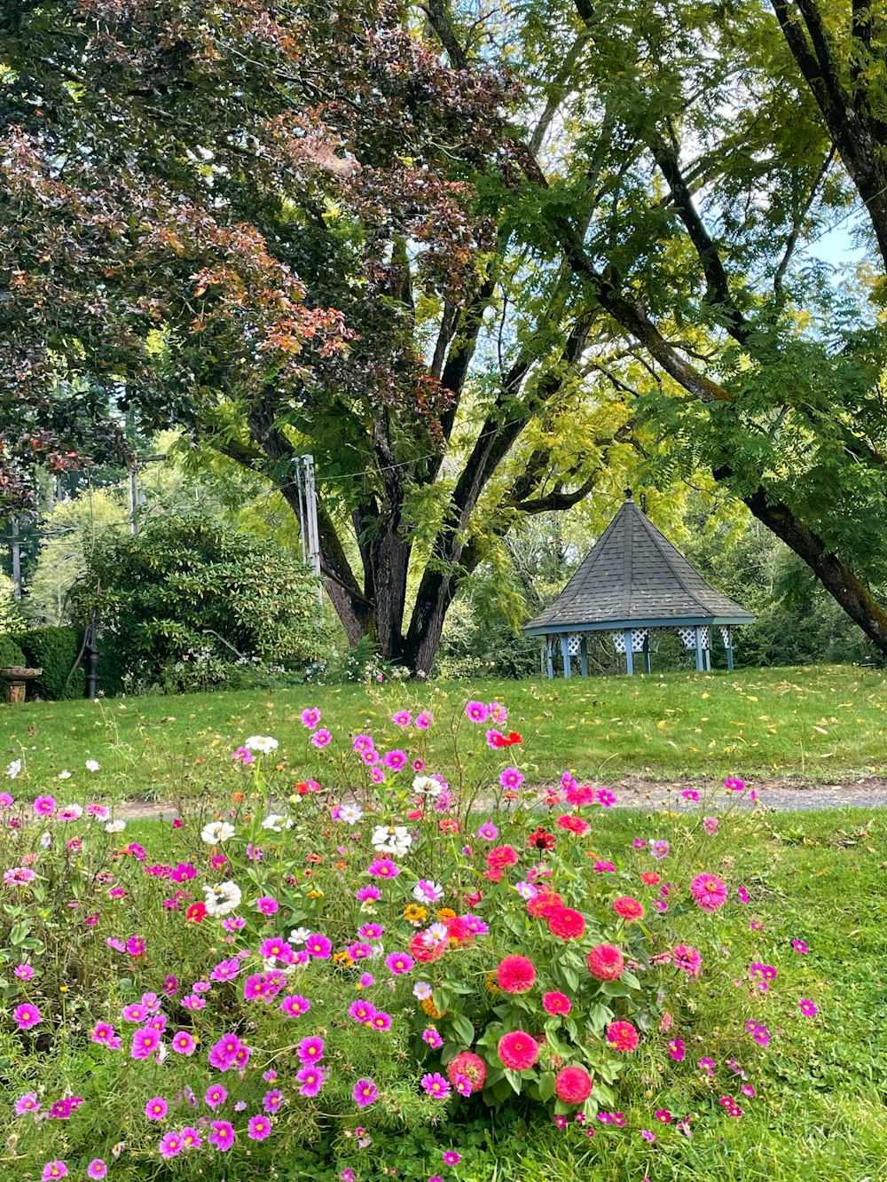 a flower garden with a gazebo in the background