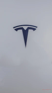 A sleek matte black and antique gold logo of Luxterra Property Network against a warm ivory background.