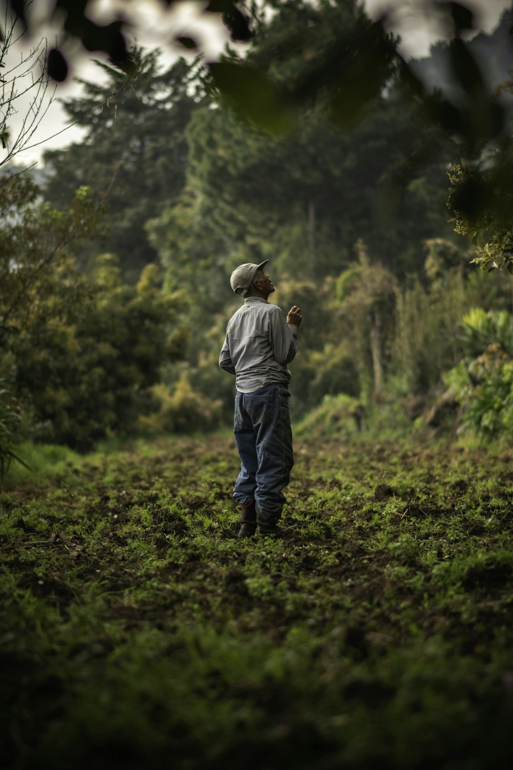 a man standing in the middle of a forest