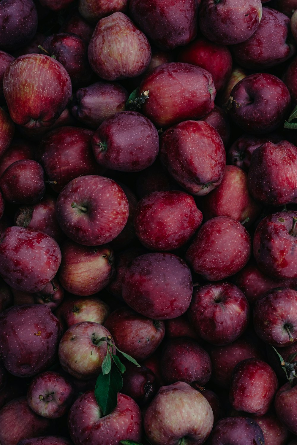 a pile of red apples with green leaves