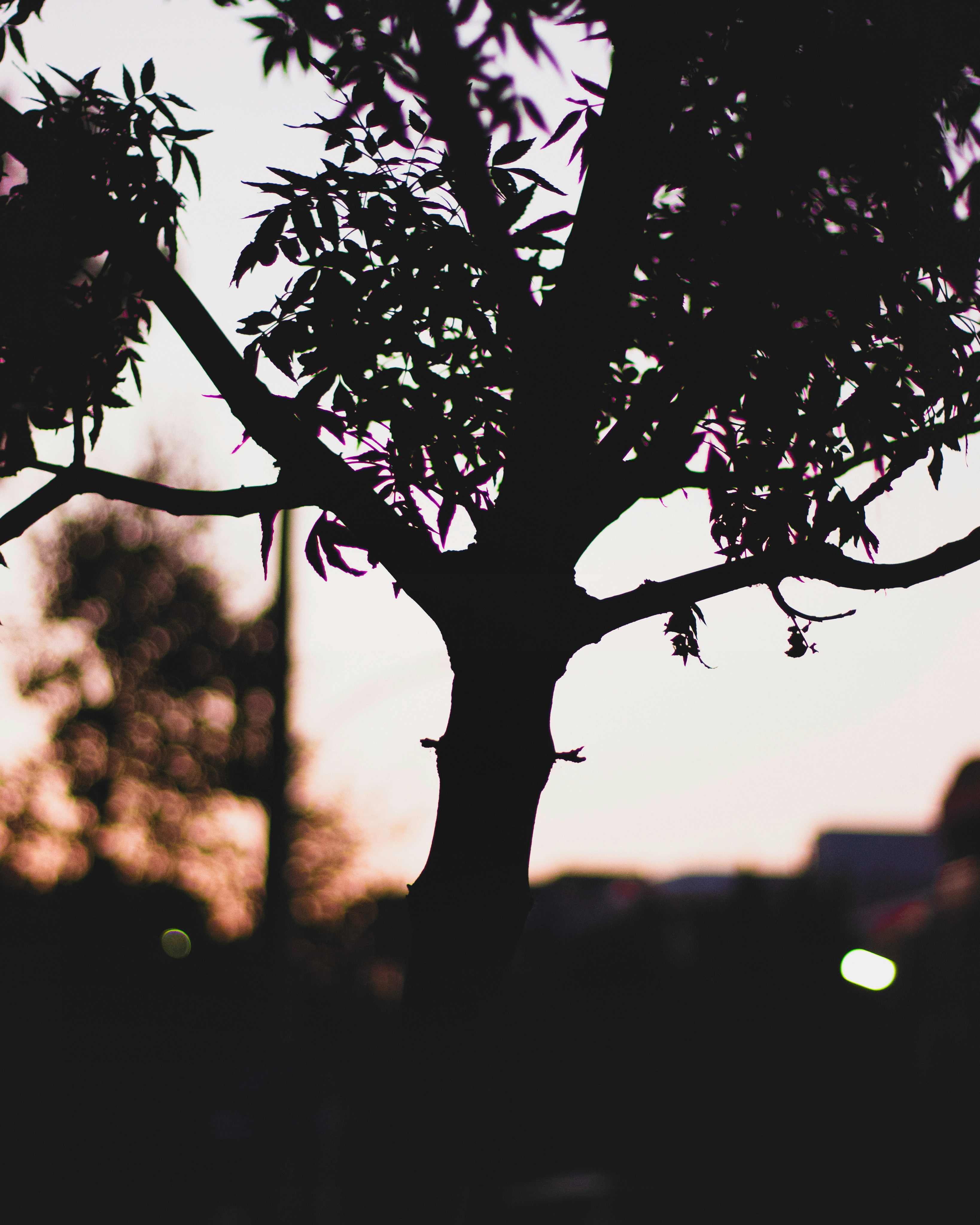 4 Evening mantras for positive energy