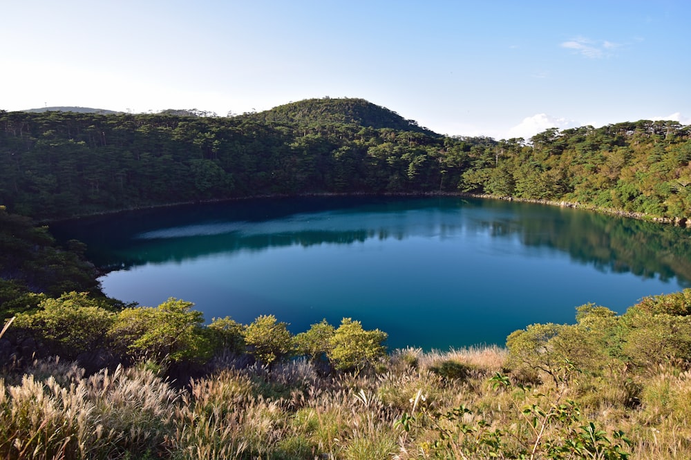 a blue lake surrounded by lush green trees