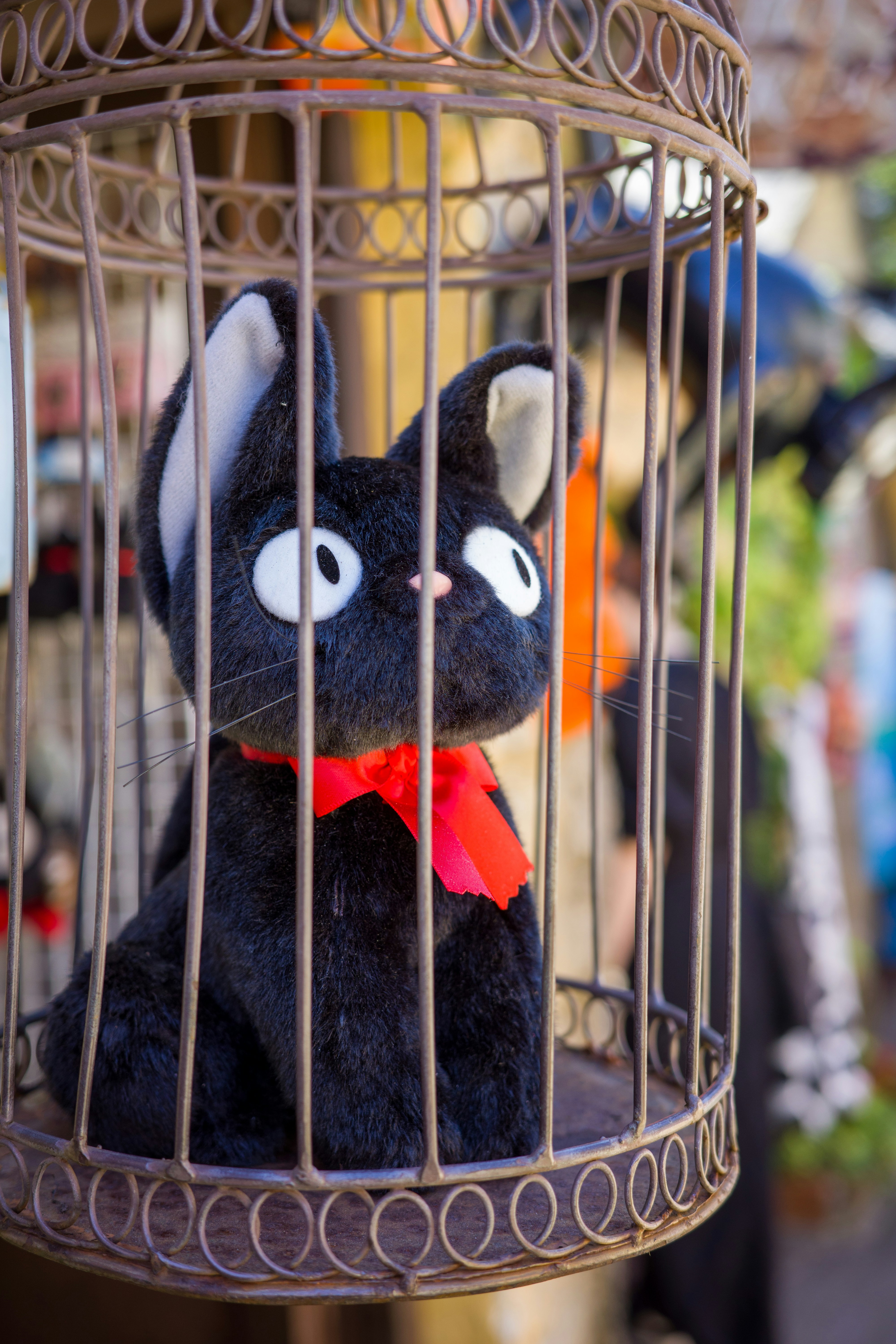 Photo by pafuxu