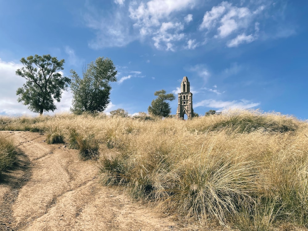 a dirt road going through a dry grass field