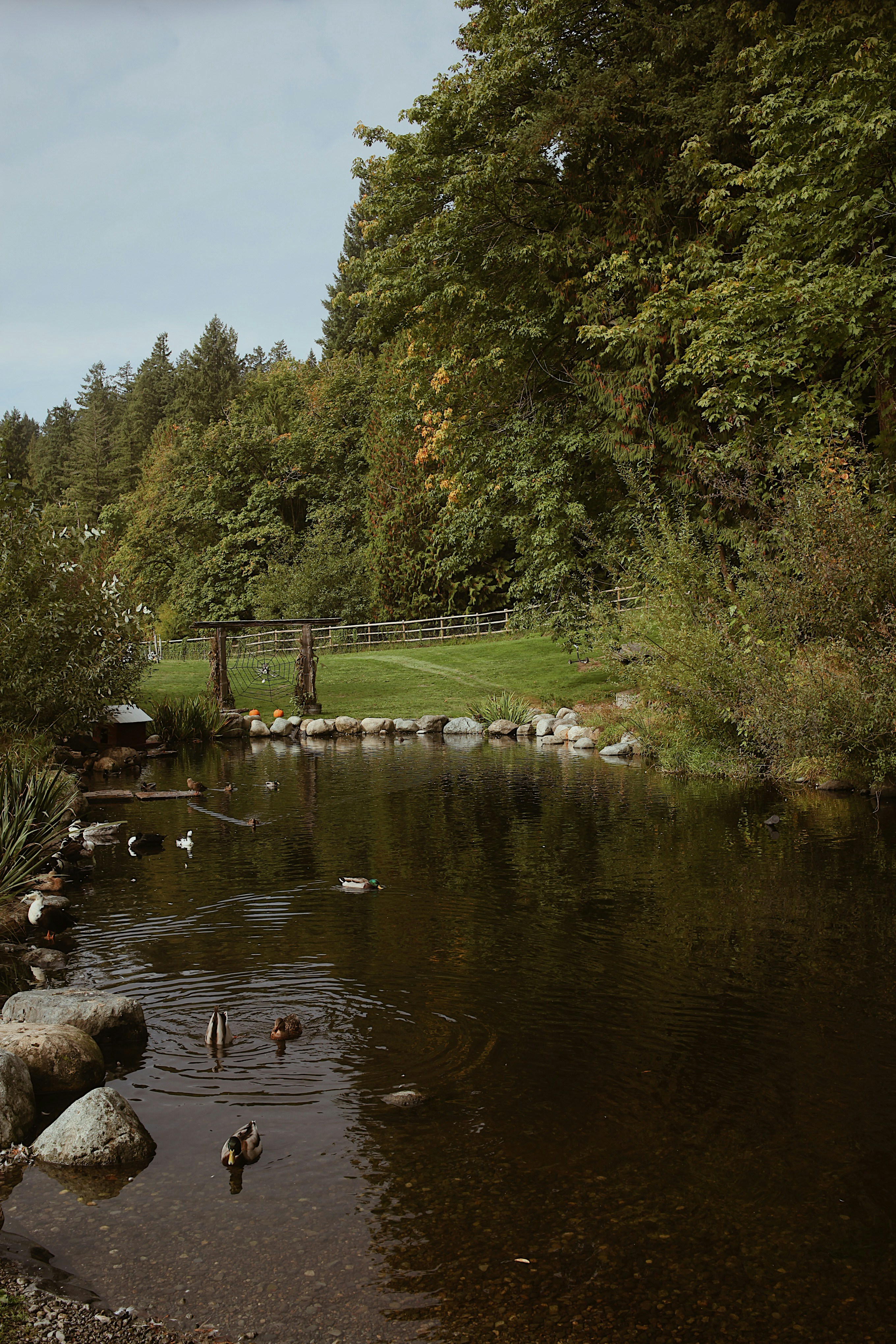 Photo by earthtokarly