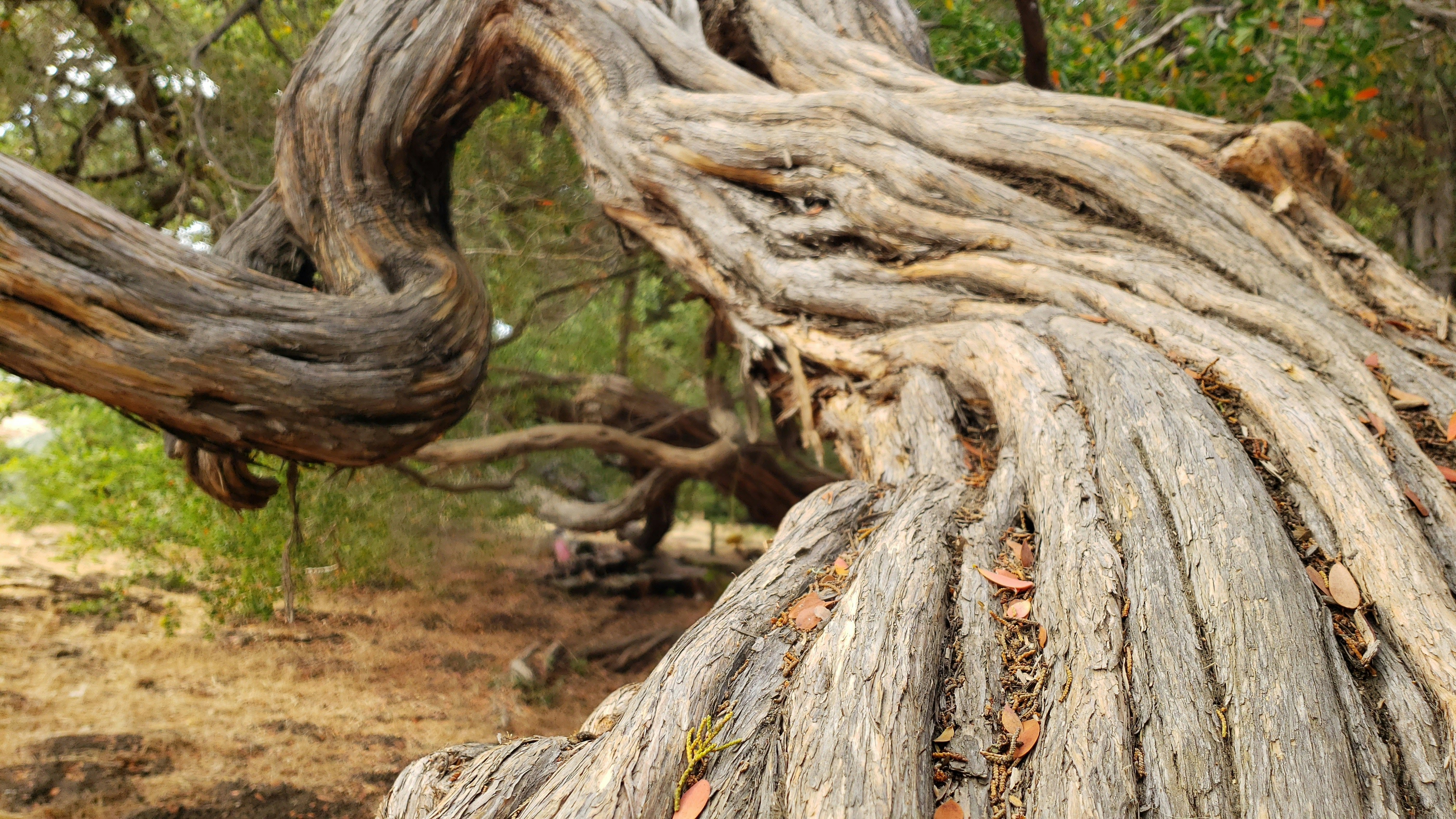 Photo by kristen_pol