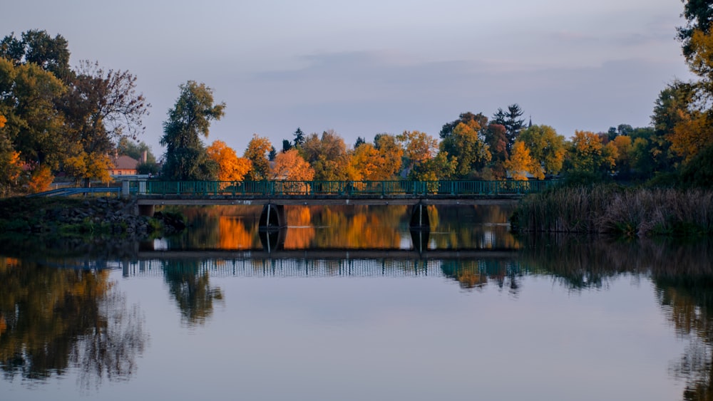 un ponte su uno specchio d'acqua circondato da alberi