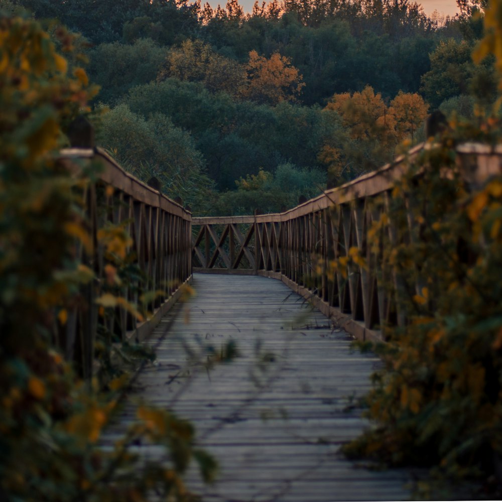 a wooden bridge with trees in the background