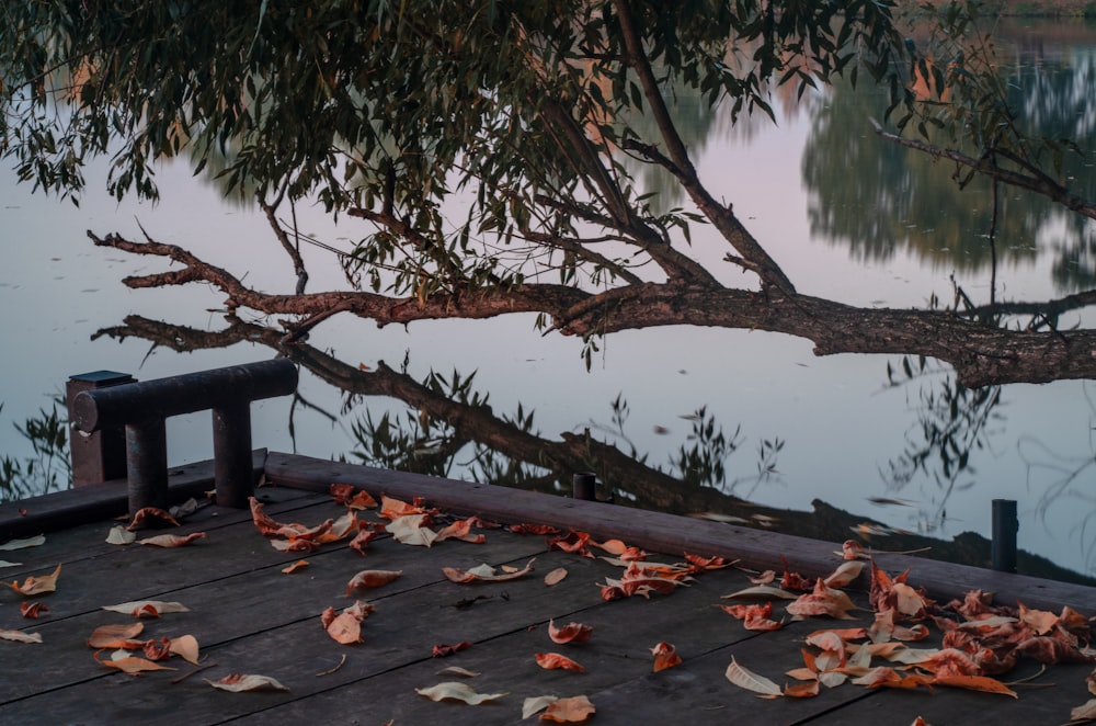 a bench sitting on top of a wooden pier next to a tree